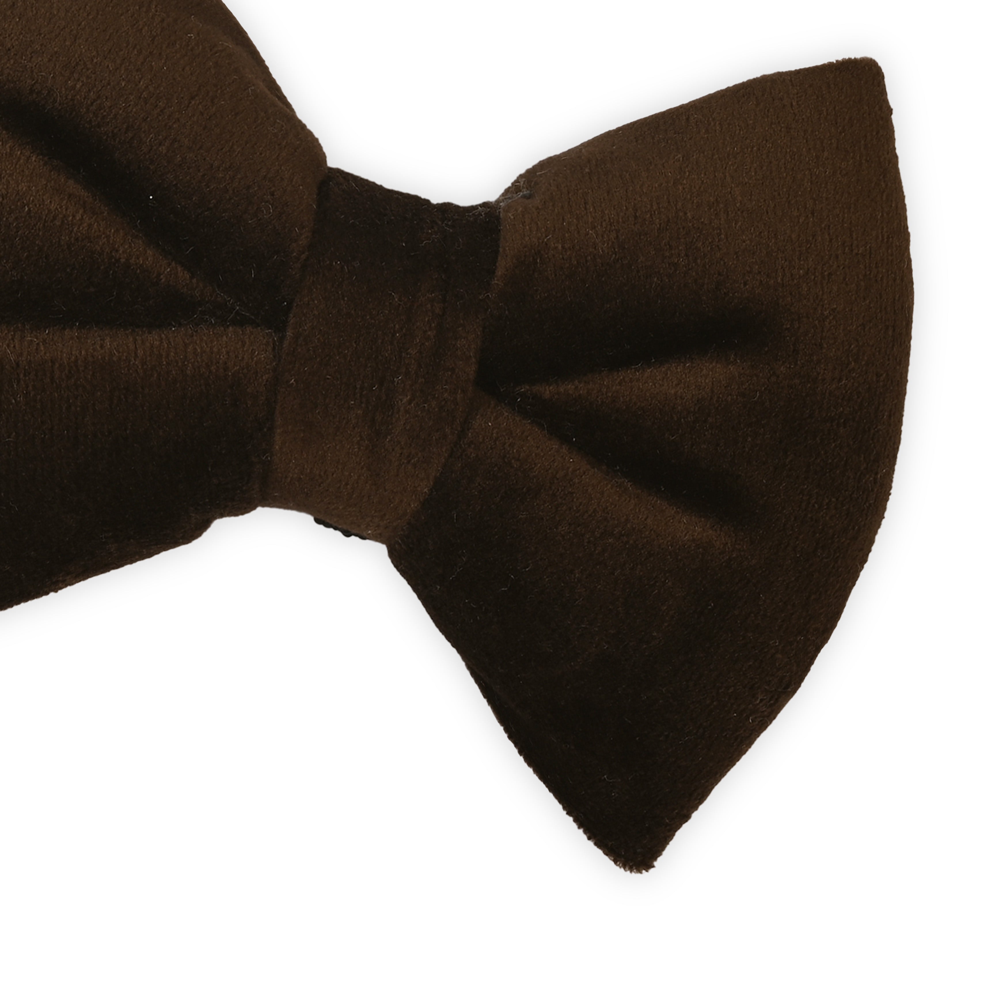 Brown Velvet Chic Bow Tie