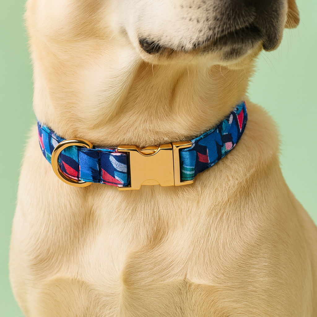 Yay All Day Party Collar