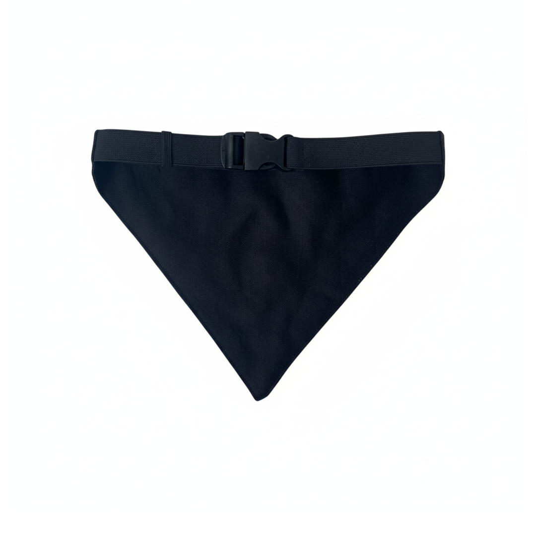 French Riviera Bandana