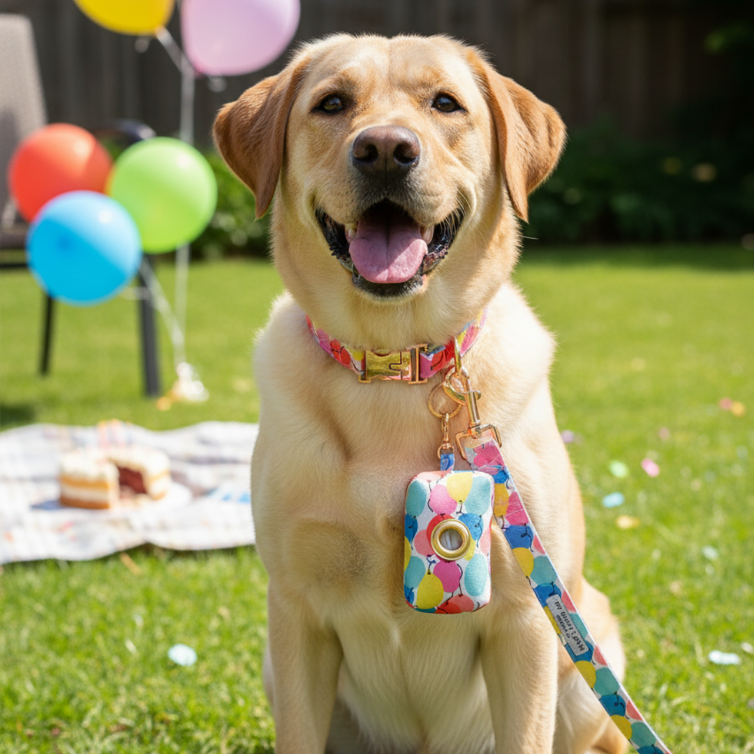 Pup Pup & Away Walking Kit