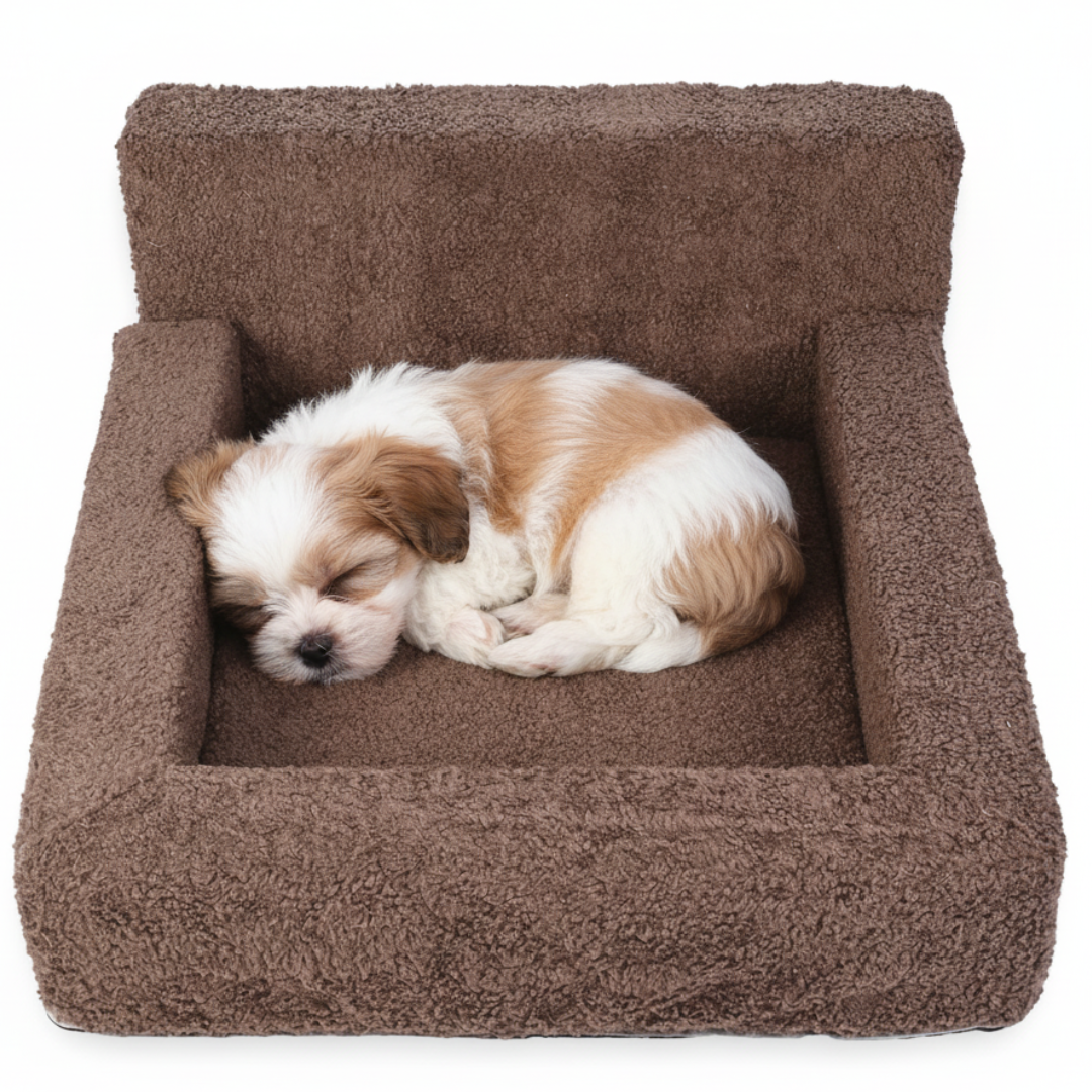 The Pawfect Bed