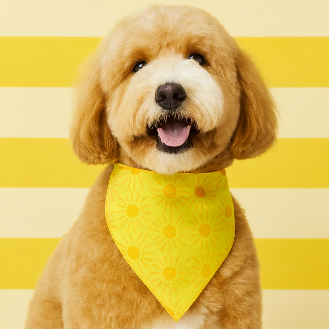 Sunny Side Up Bandana