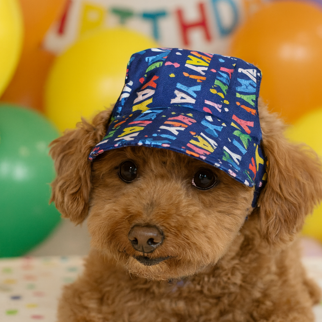 Yay All Day Birthday Fluff Cap