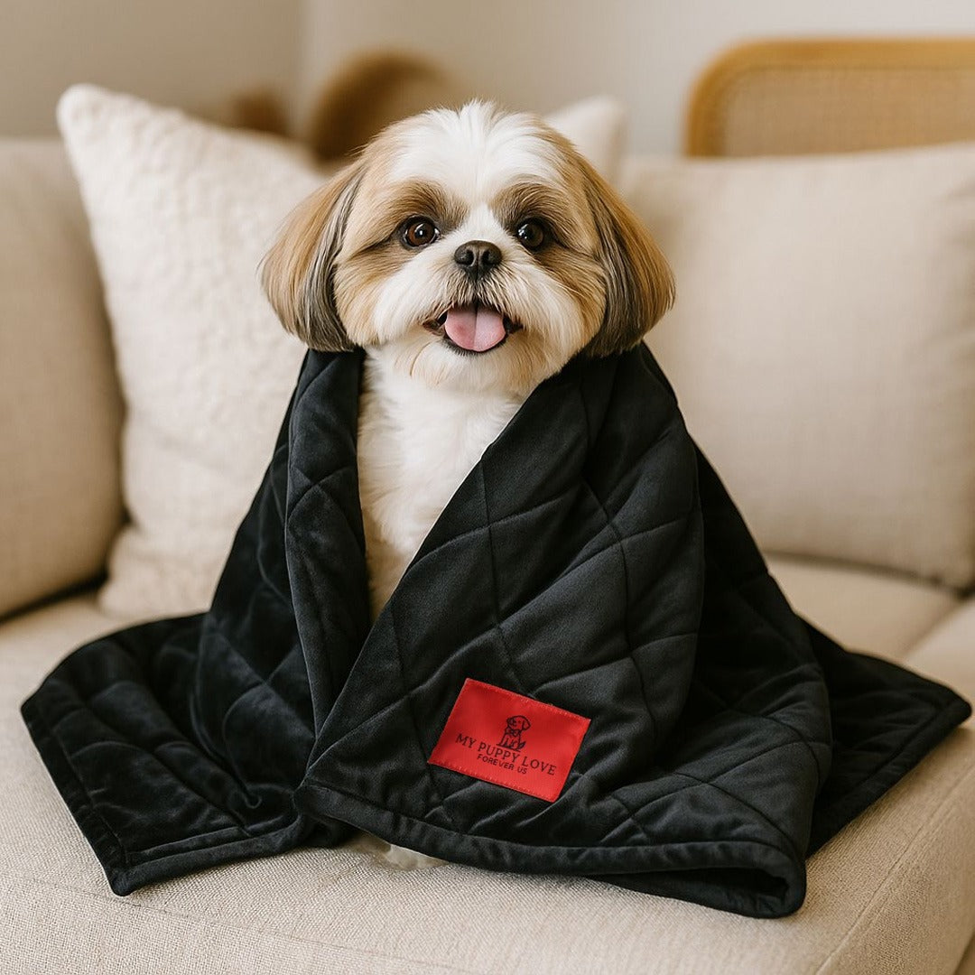Black Velvet Blanket