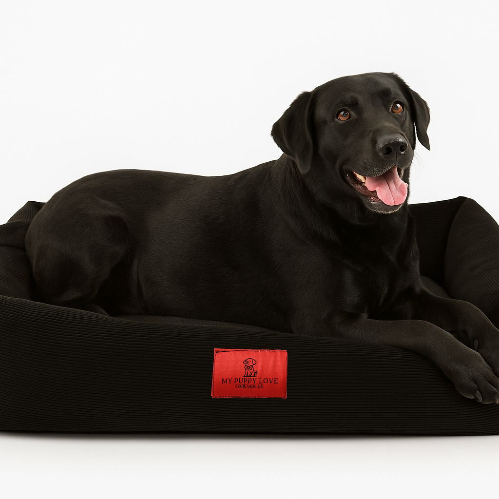 Black Dream Deep Lounger Bed