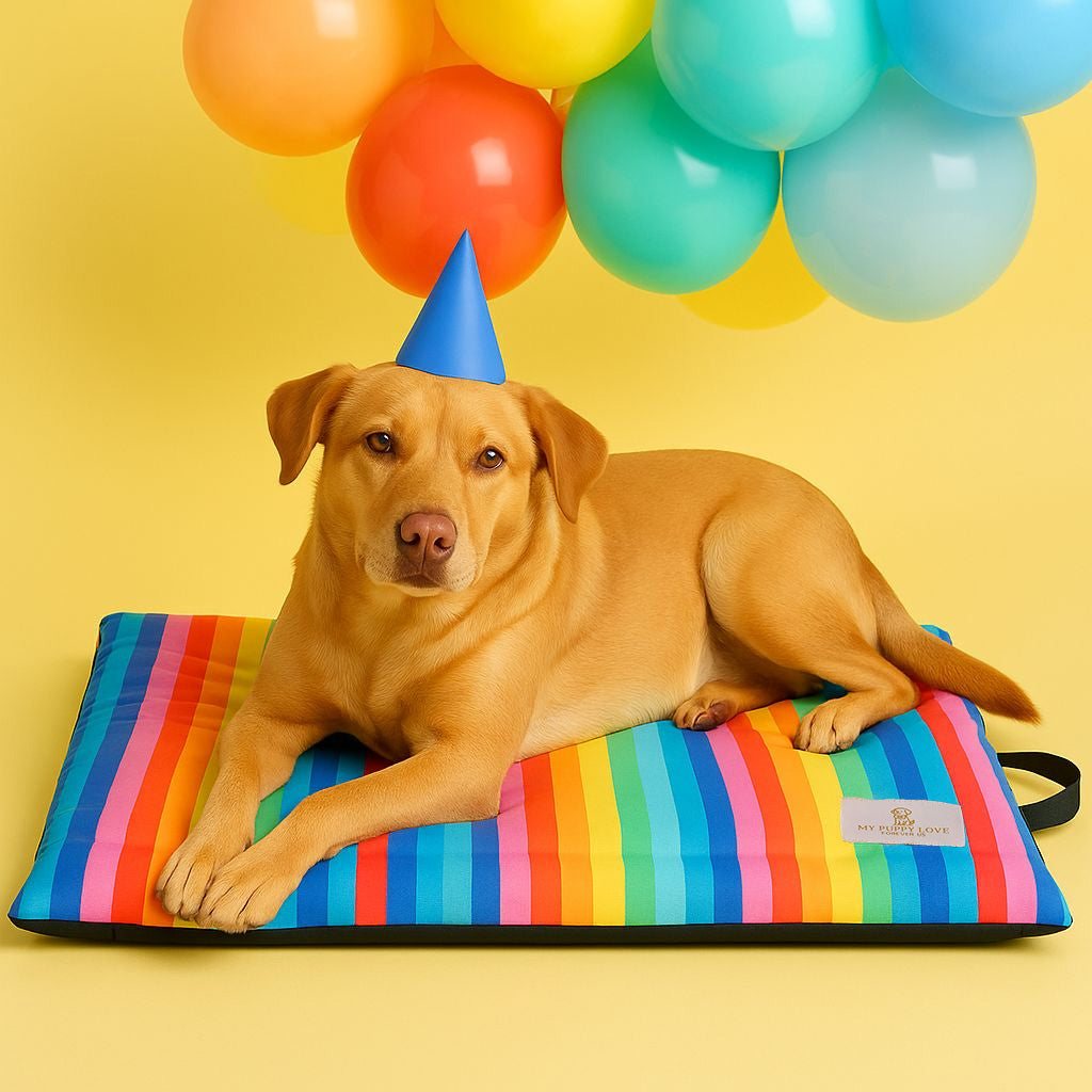 Party Parade Cozy Mat