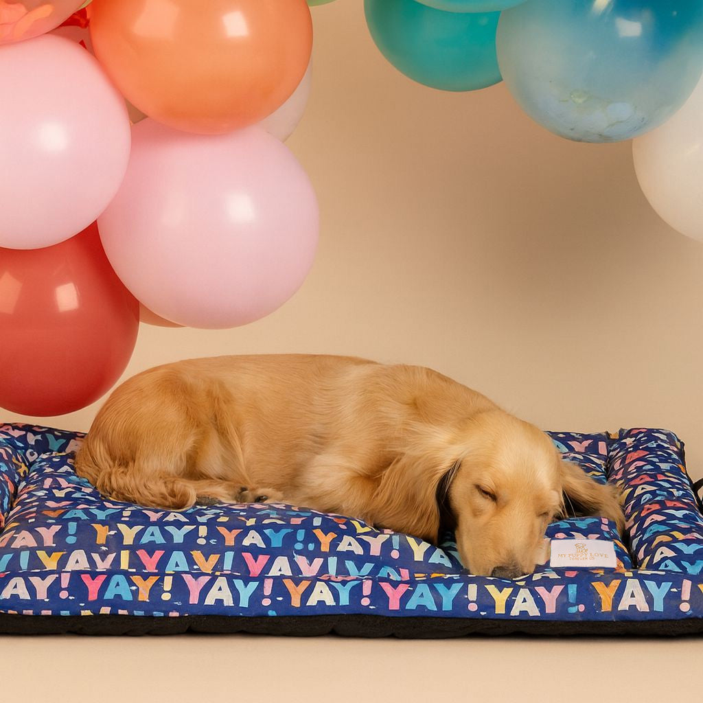 Yay All Day Snuggle Mat