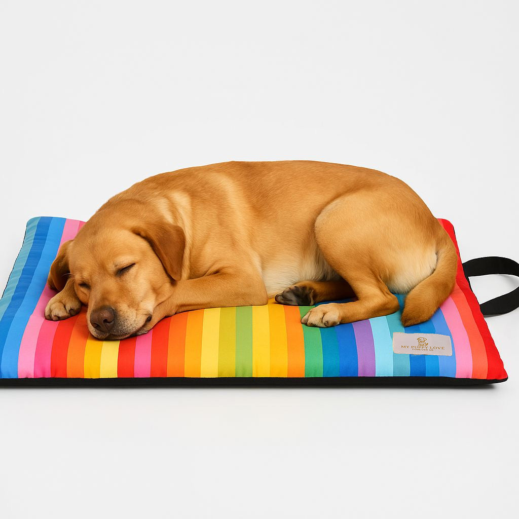 Party Parade Cozy Mat