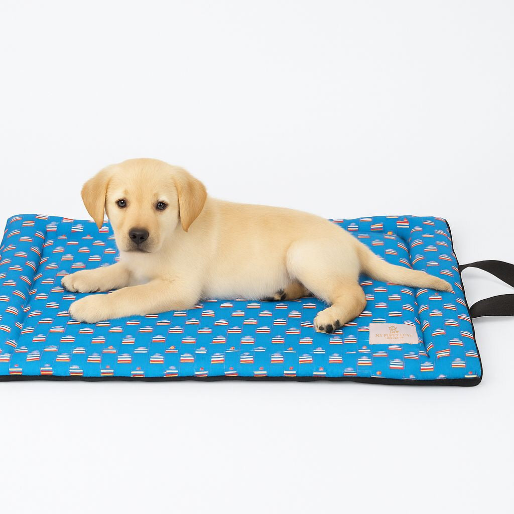 Cake Time Celebration Mat