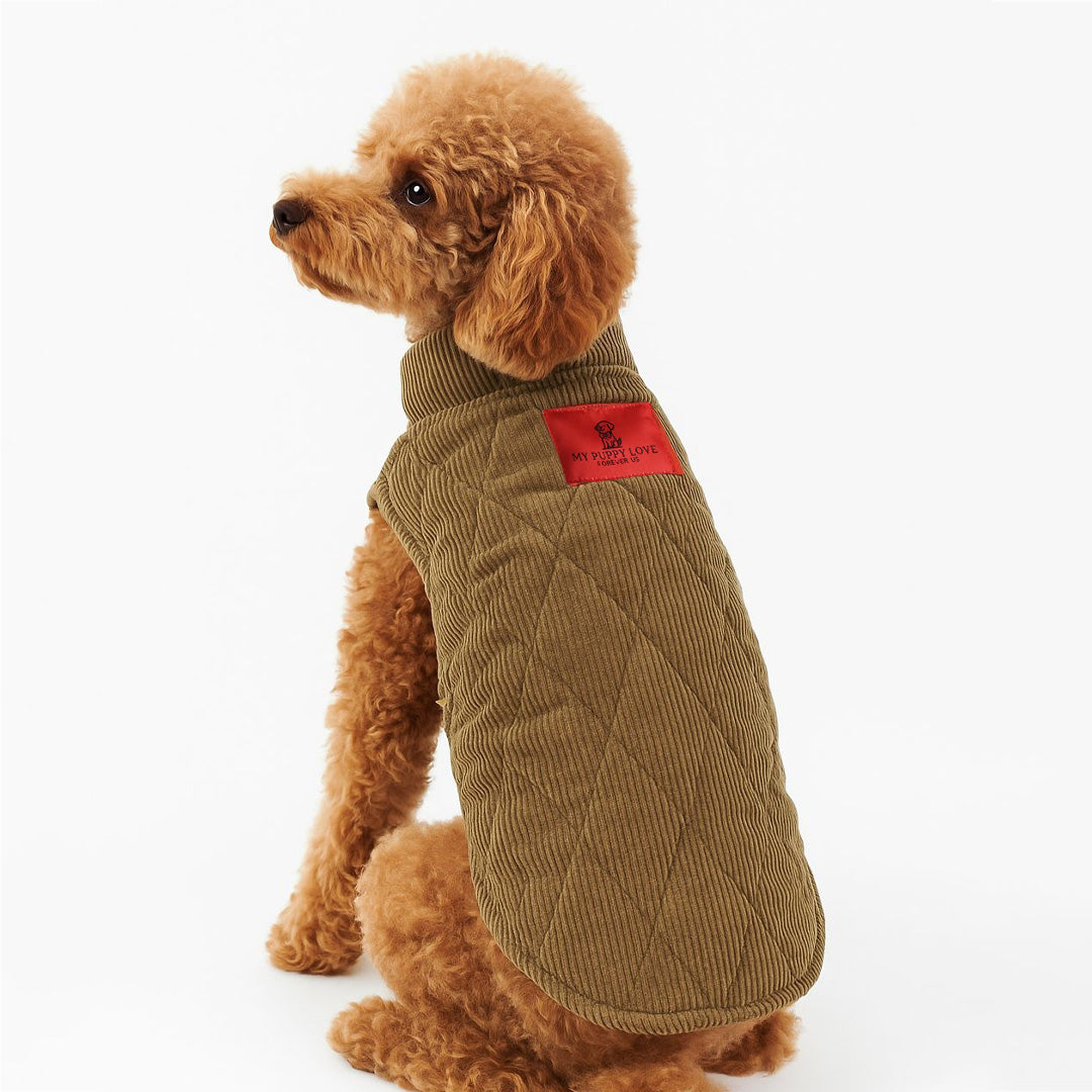 Everyday Walk Jacket Olive Corduroy