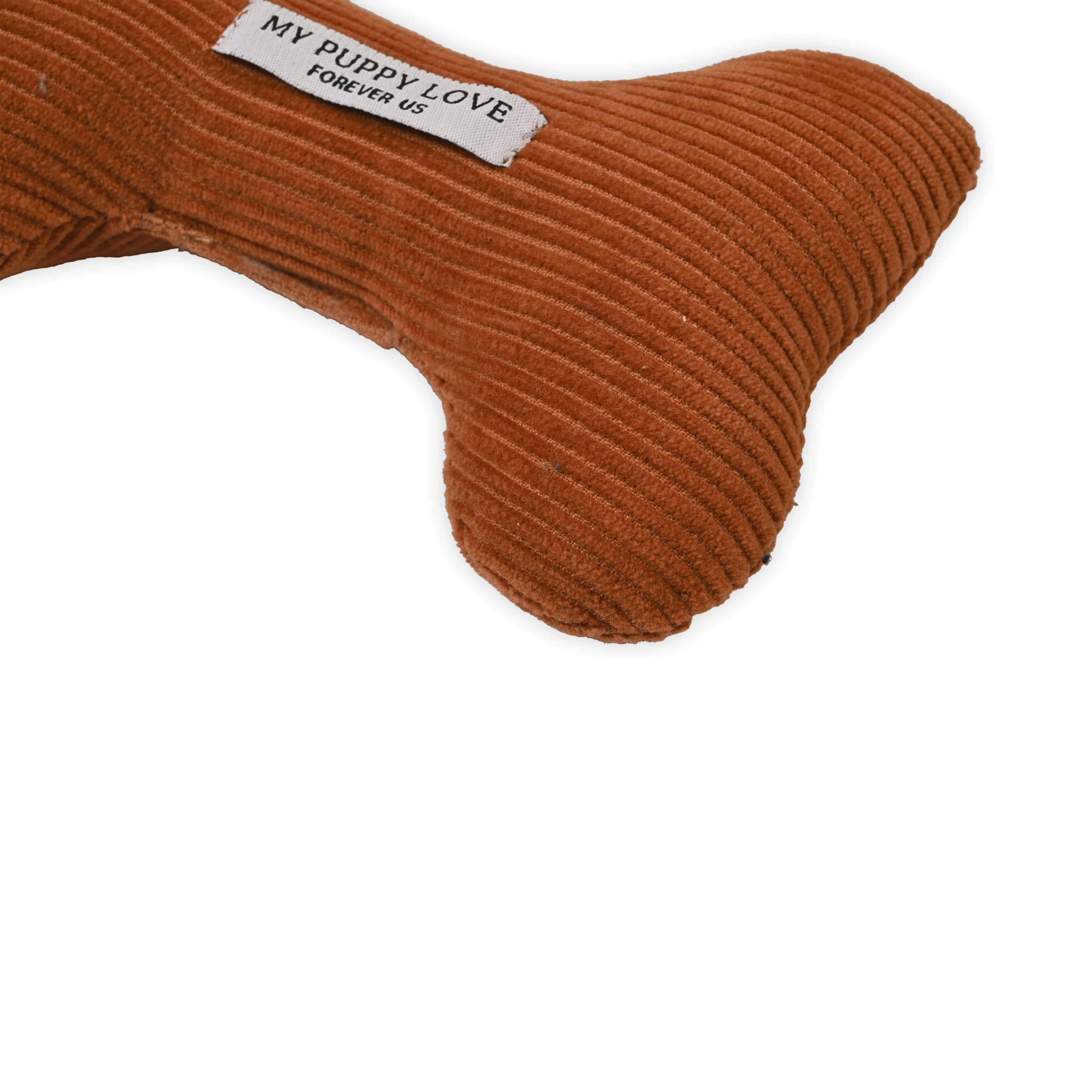 Amber Nibble Bone