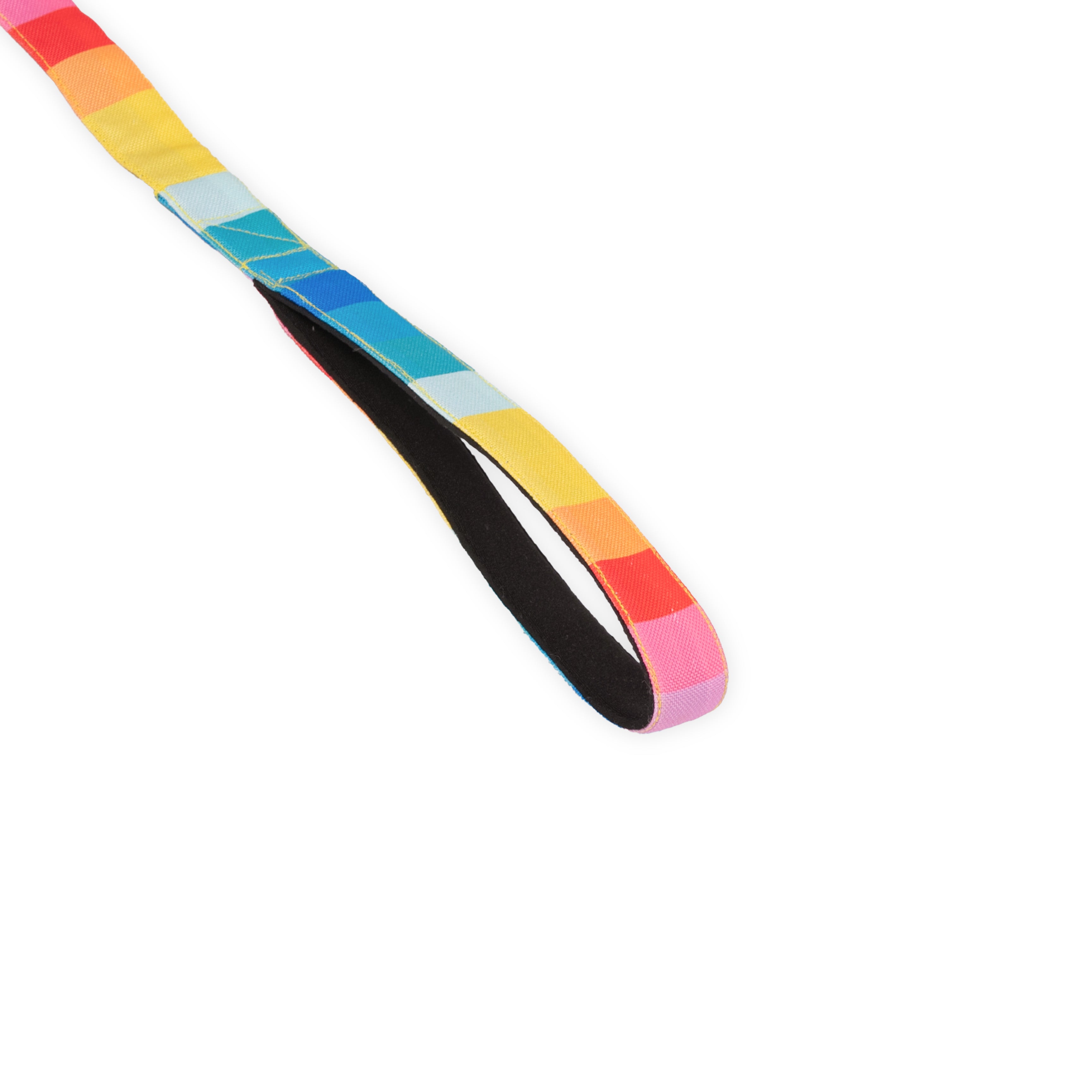 Party Parade Party Leash