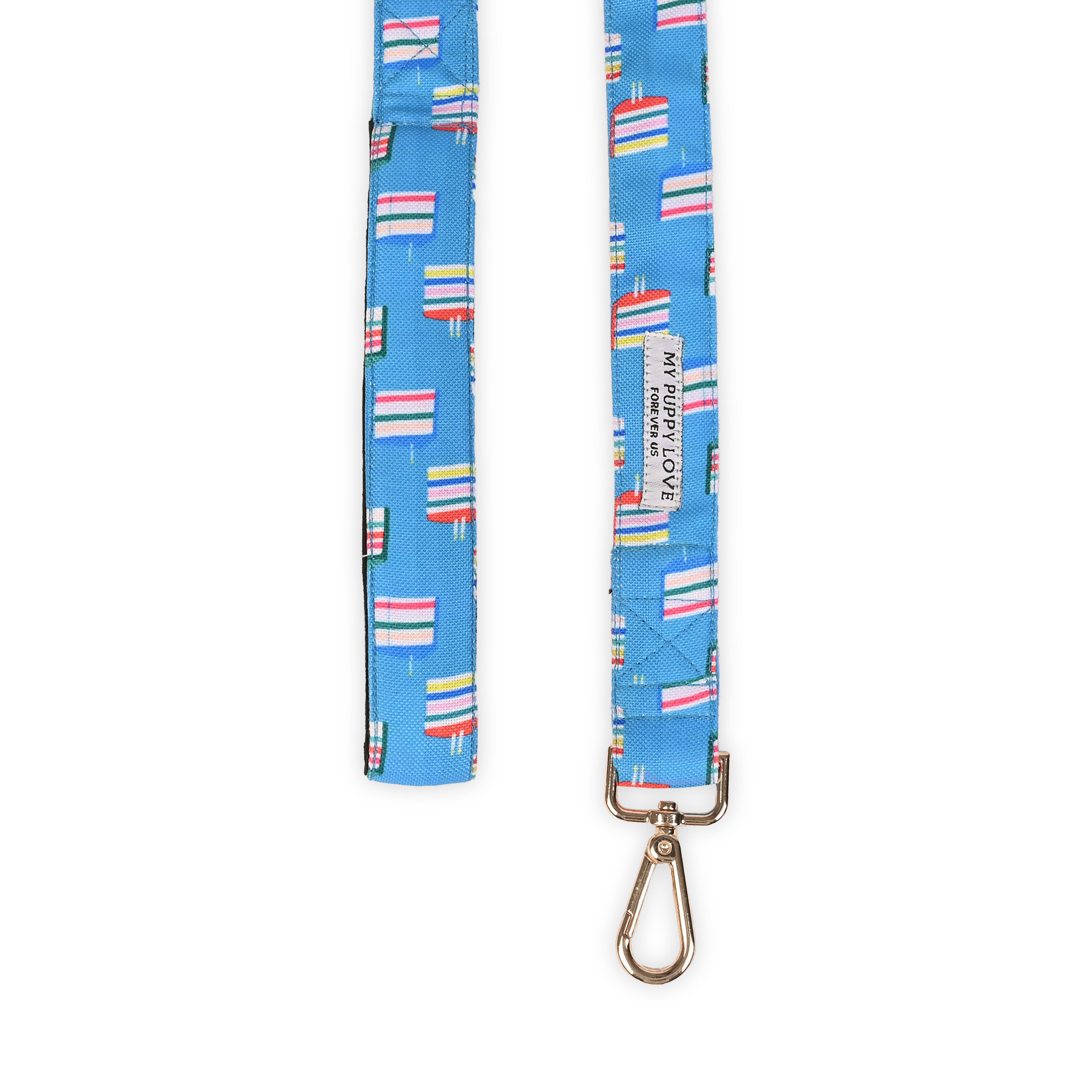 Cake Time Party Leash