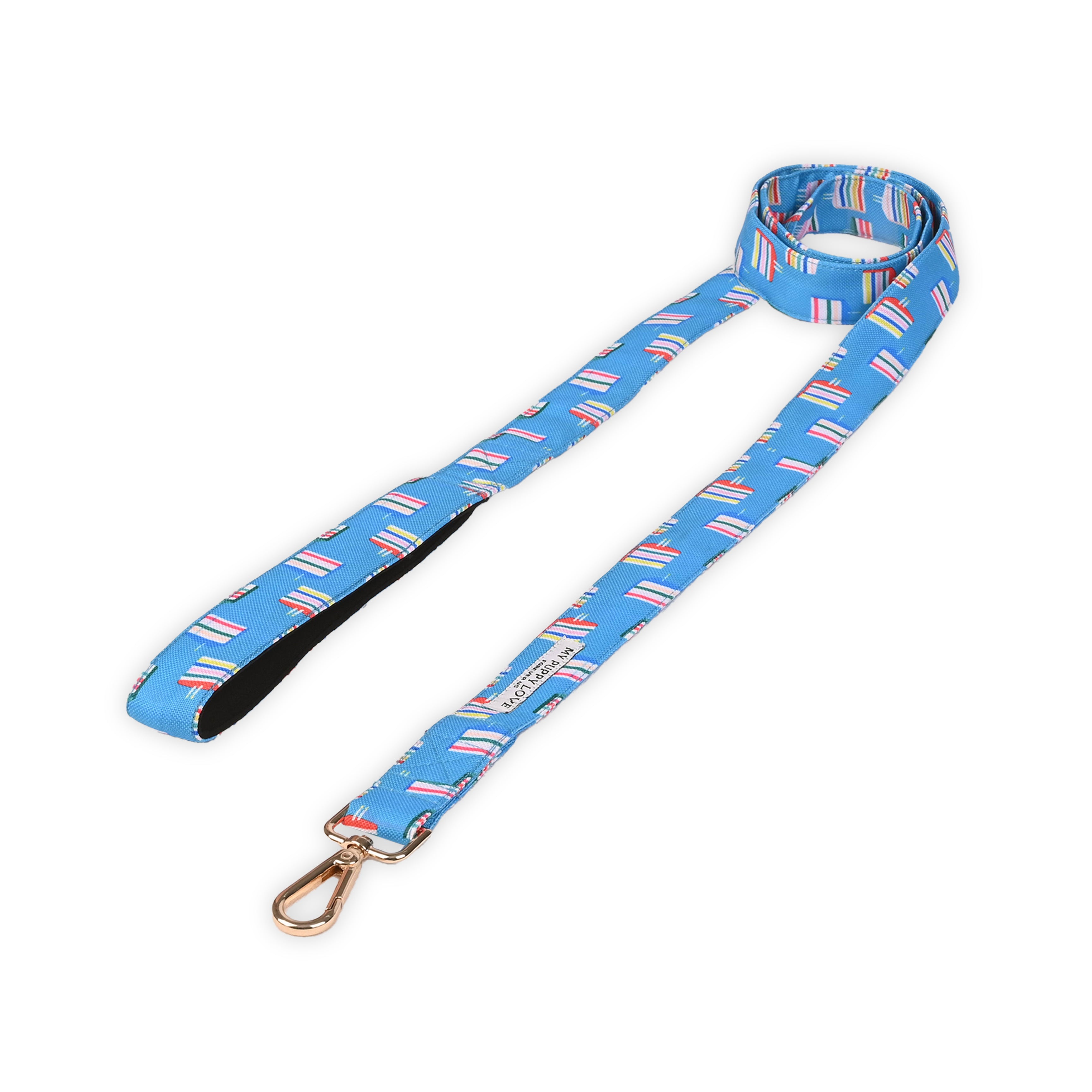 Cake Time Party Leash