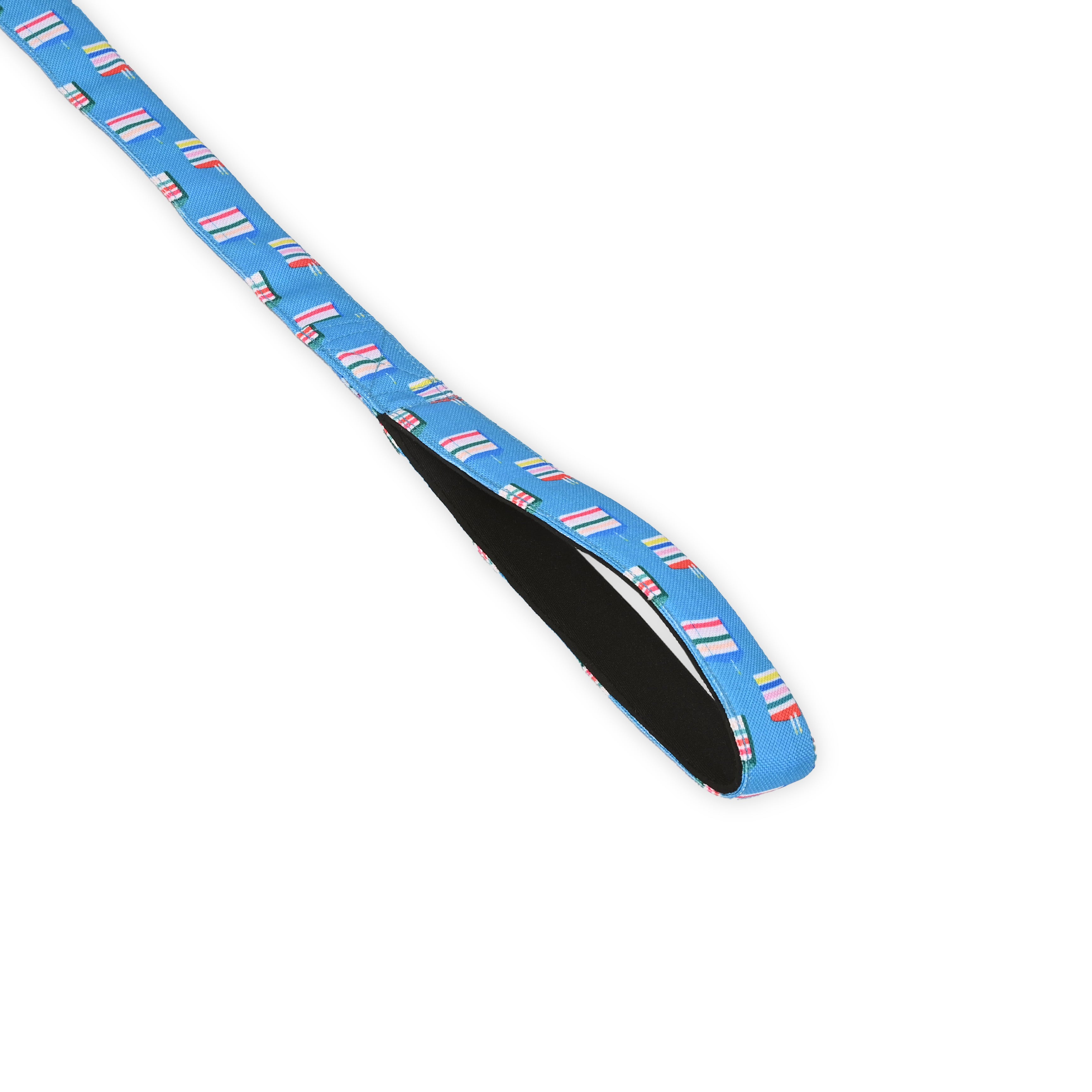 Cake Time Party Leash