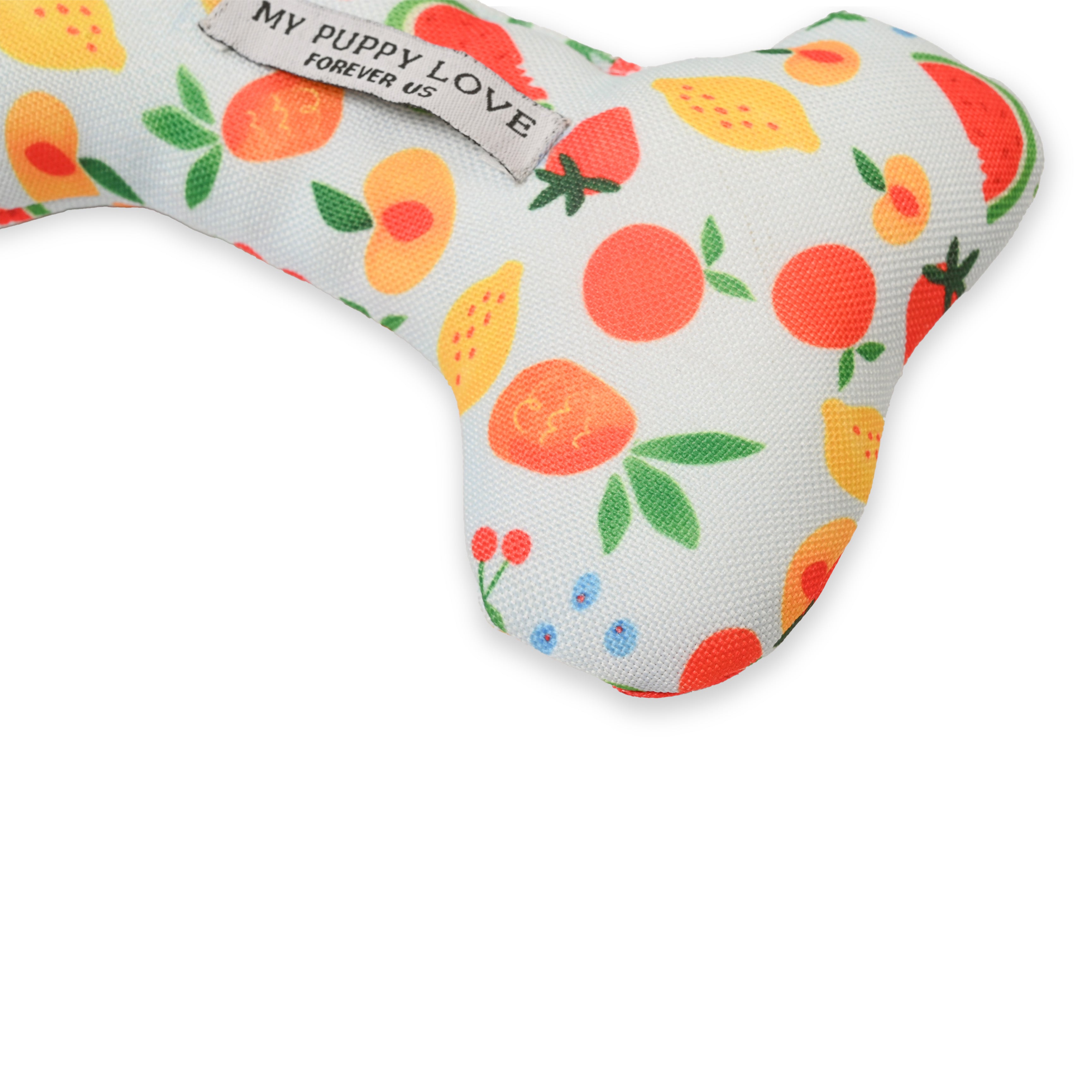 Fruit Salad Bone Toy