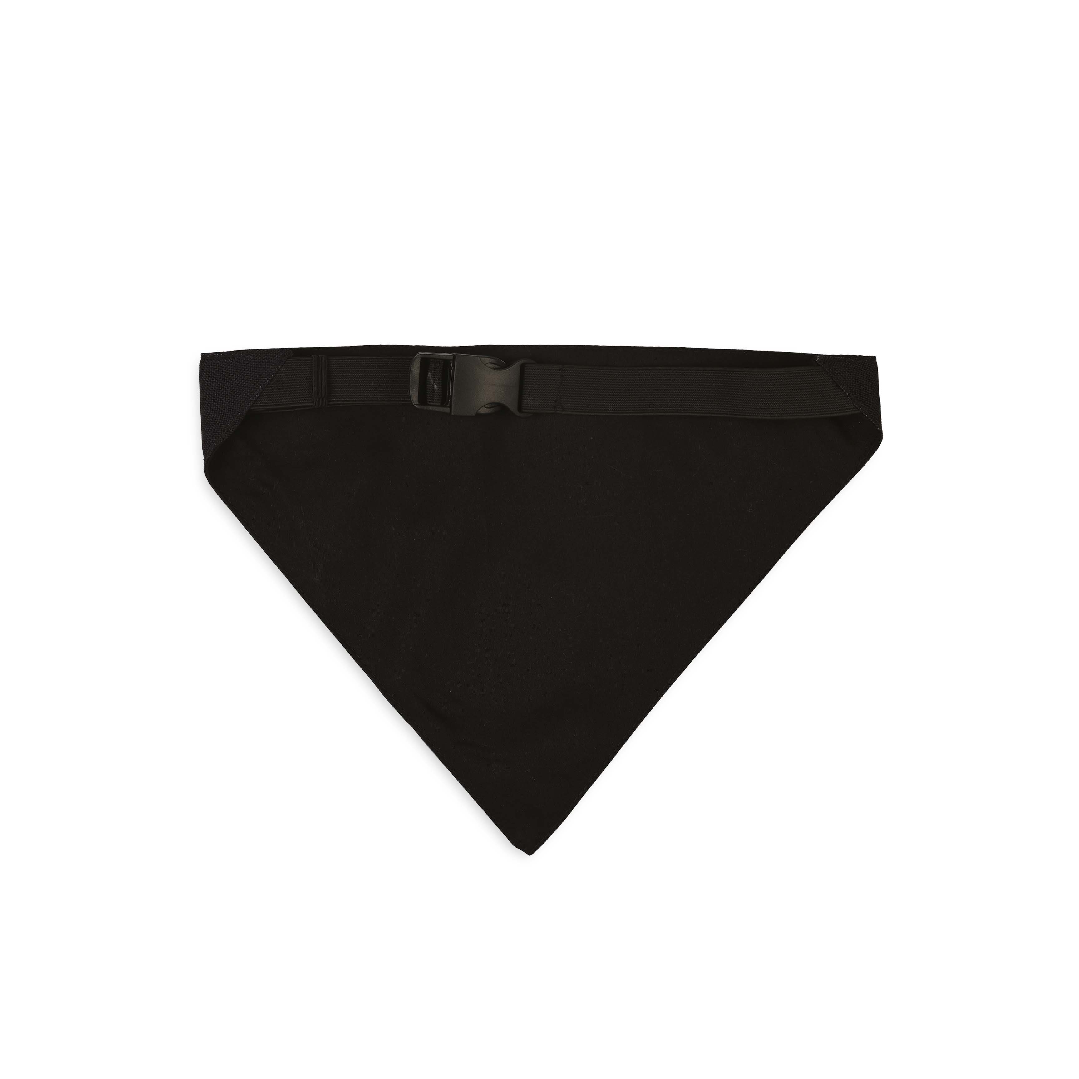 Sock Thief Bandana