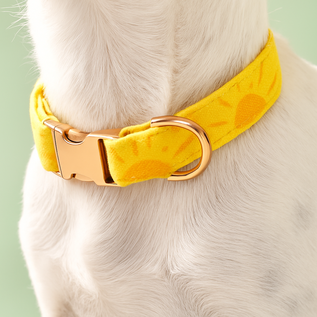 Collars