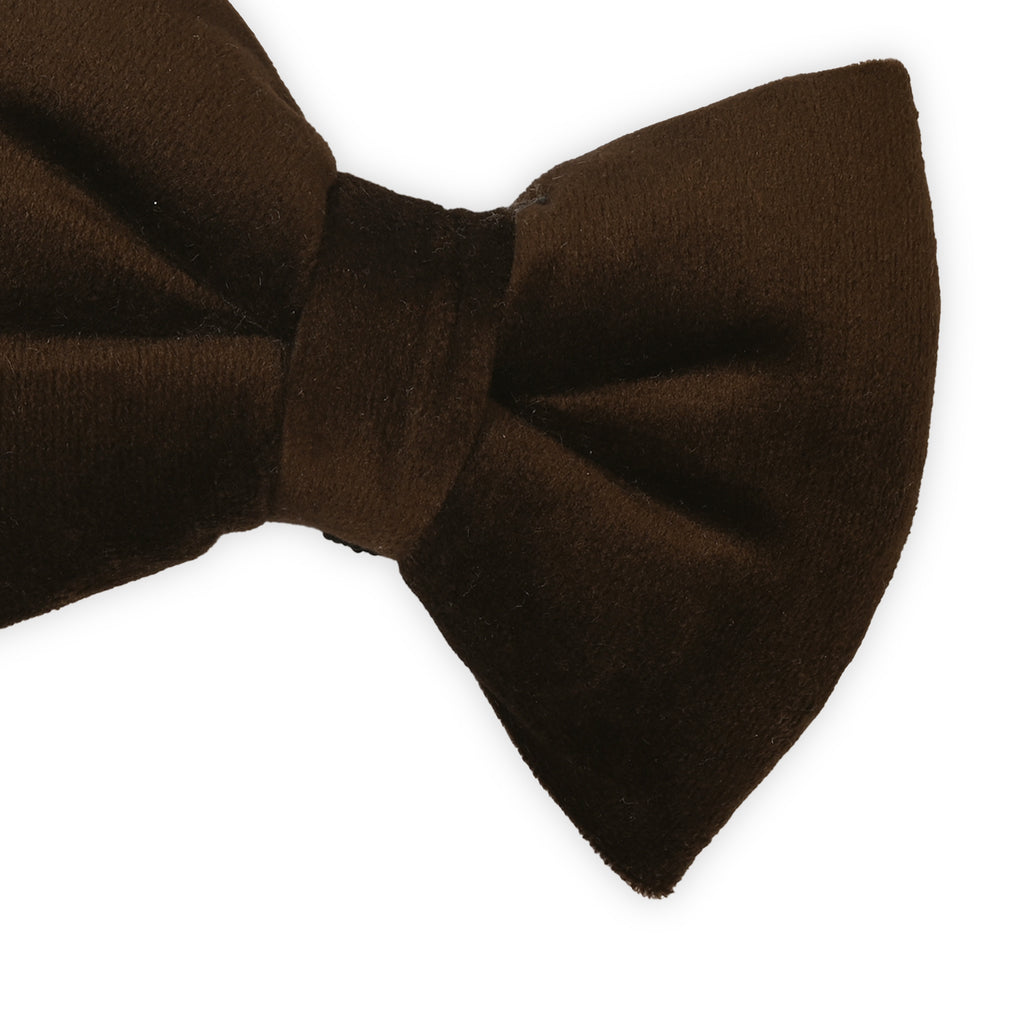 Brown Velvet Chic Bow Tie