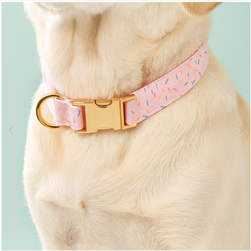 Sprinkle Me Silly Party Collar