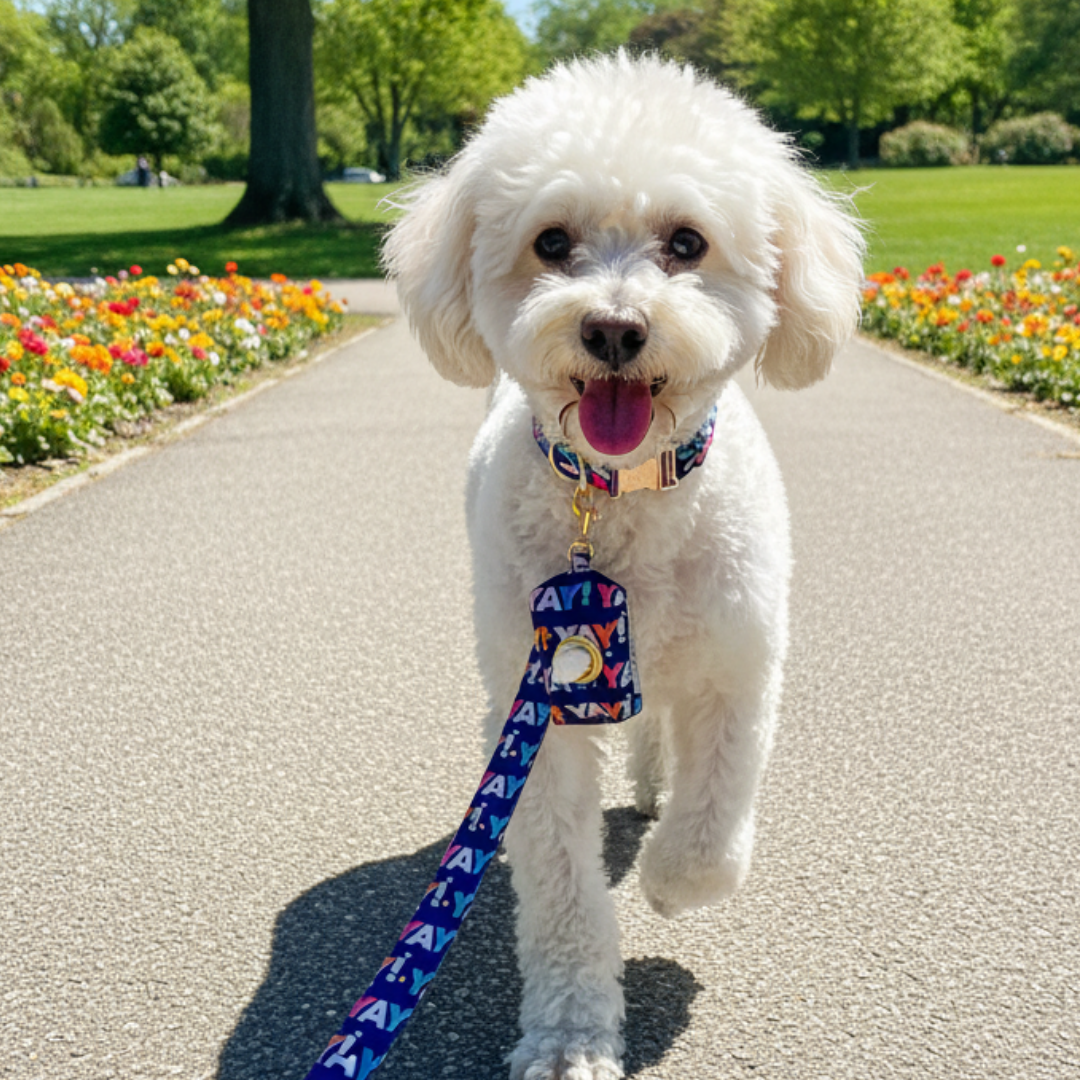 Yay All Day Walking Kit
