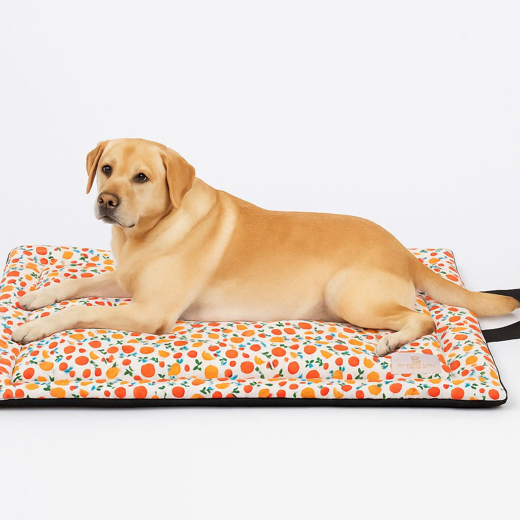 Fruit Salad Mat