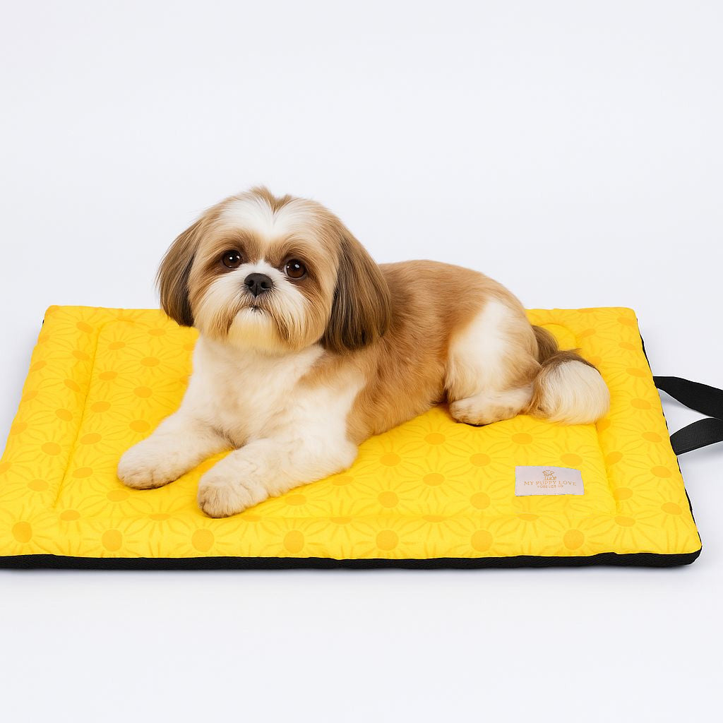 Sunny Side Up Mat