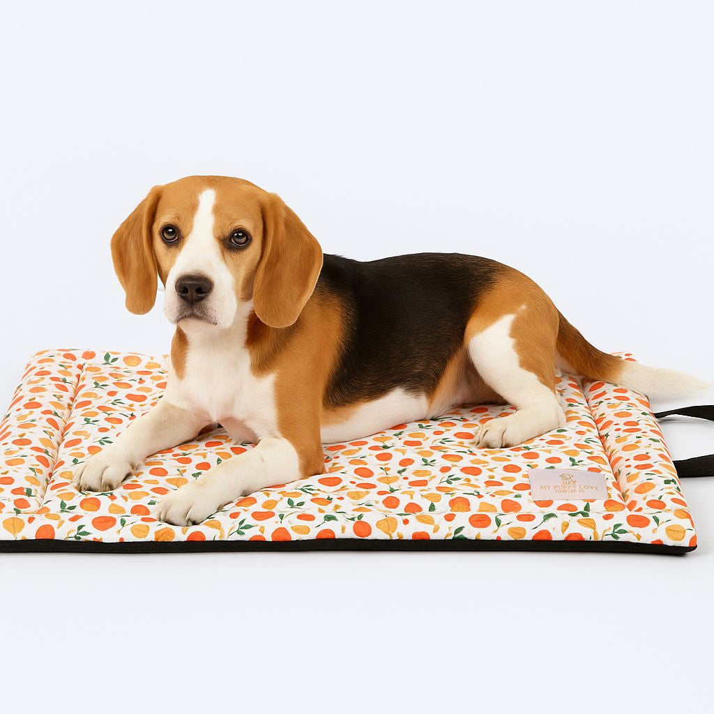 Fruit Salad Mat