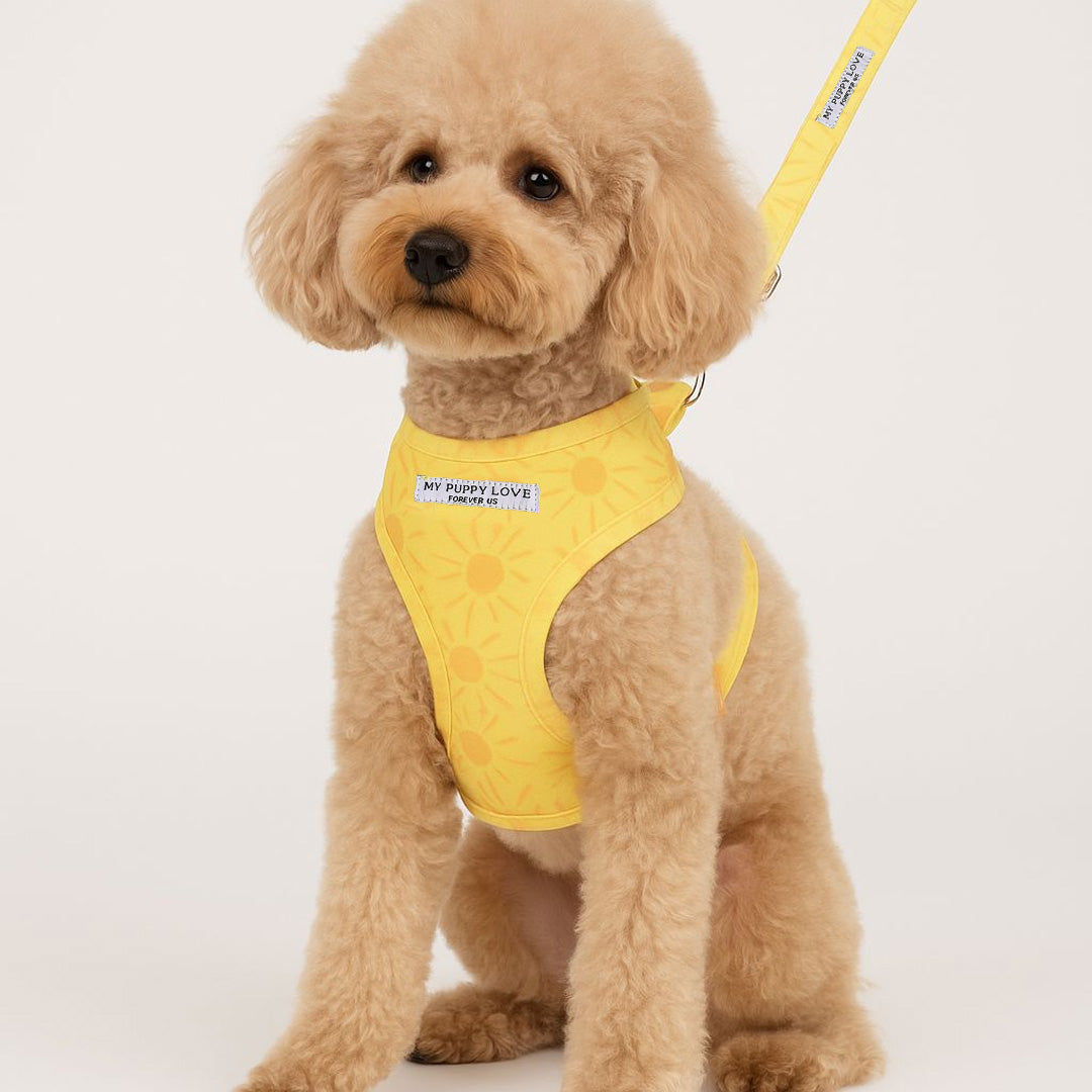 Sunny Side Up Walking Kit