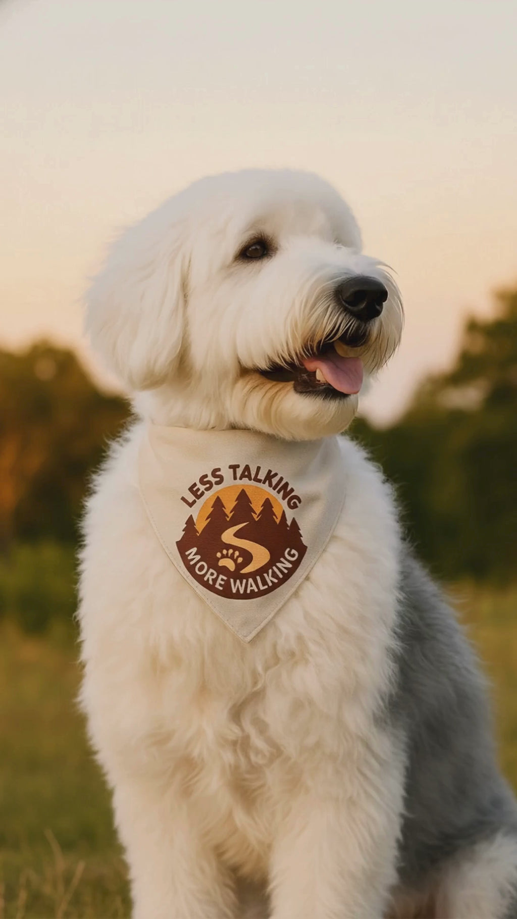 Less Talking More Walking Bandana