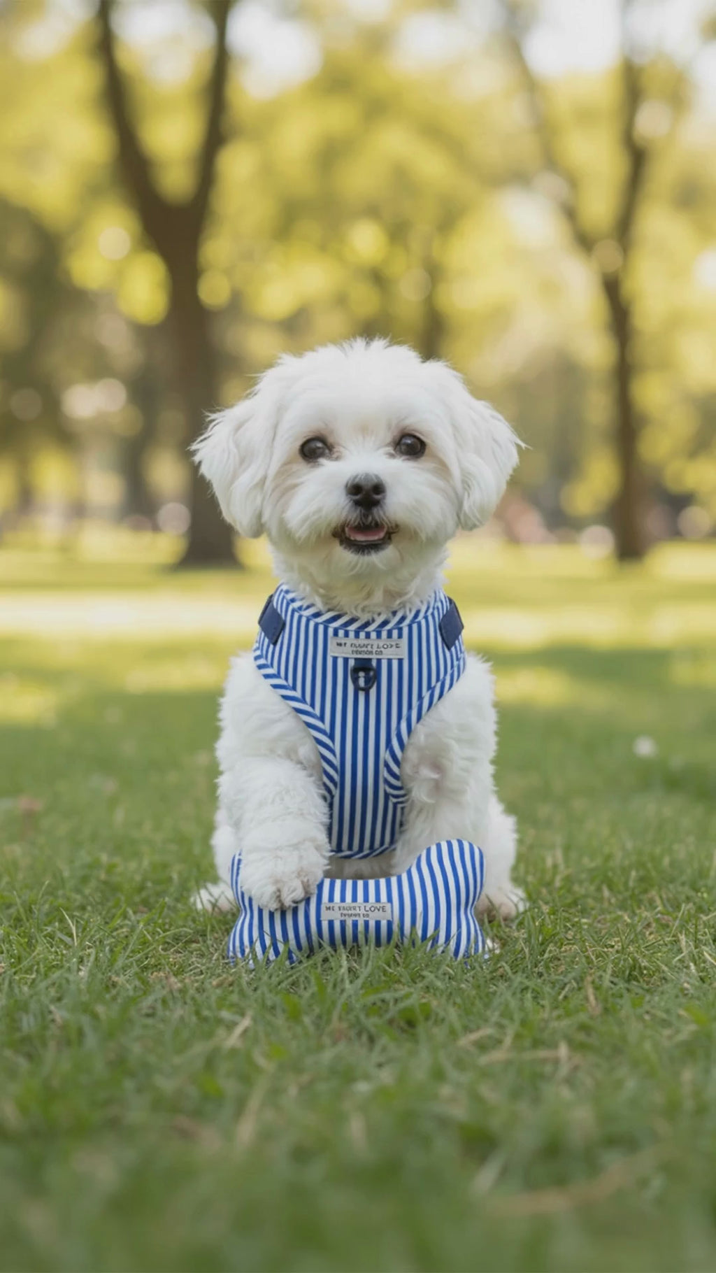 French Riviera Bone Toy