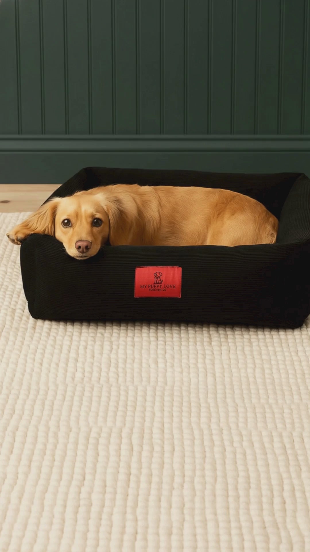 Black Dream Deep Lounger Bed