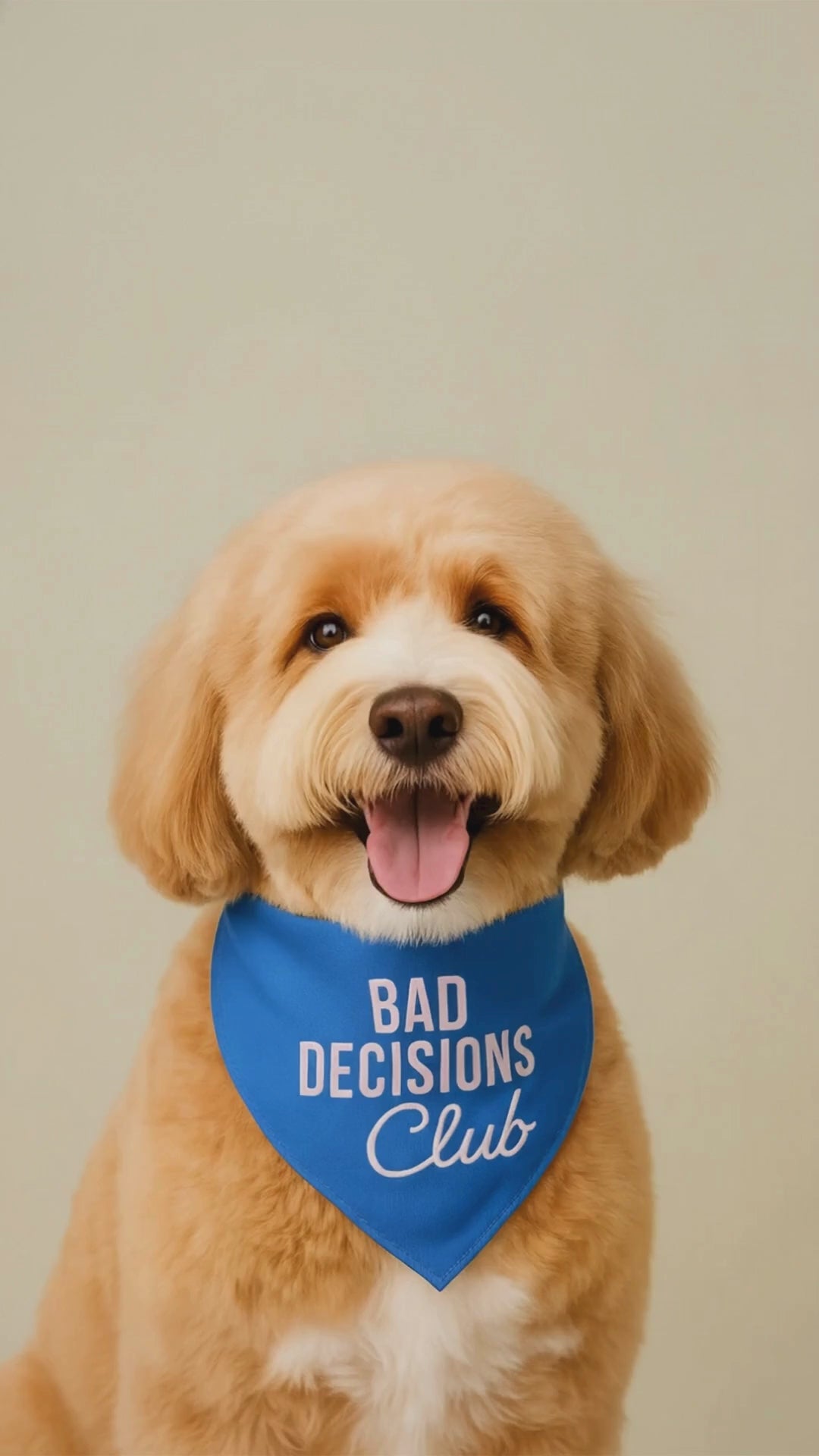 Bad Decisions Club Bandana