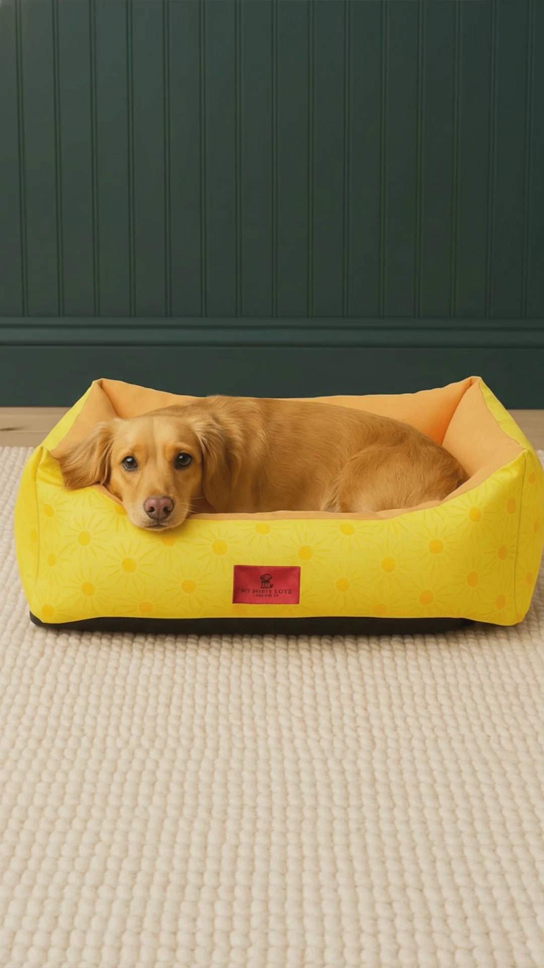 Sunny Side Up Lounger Bed