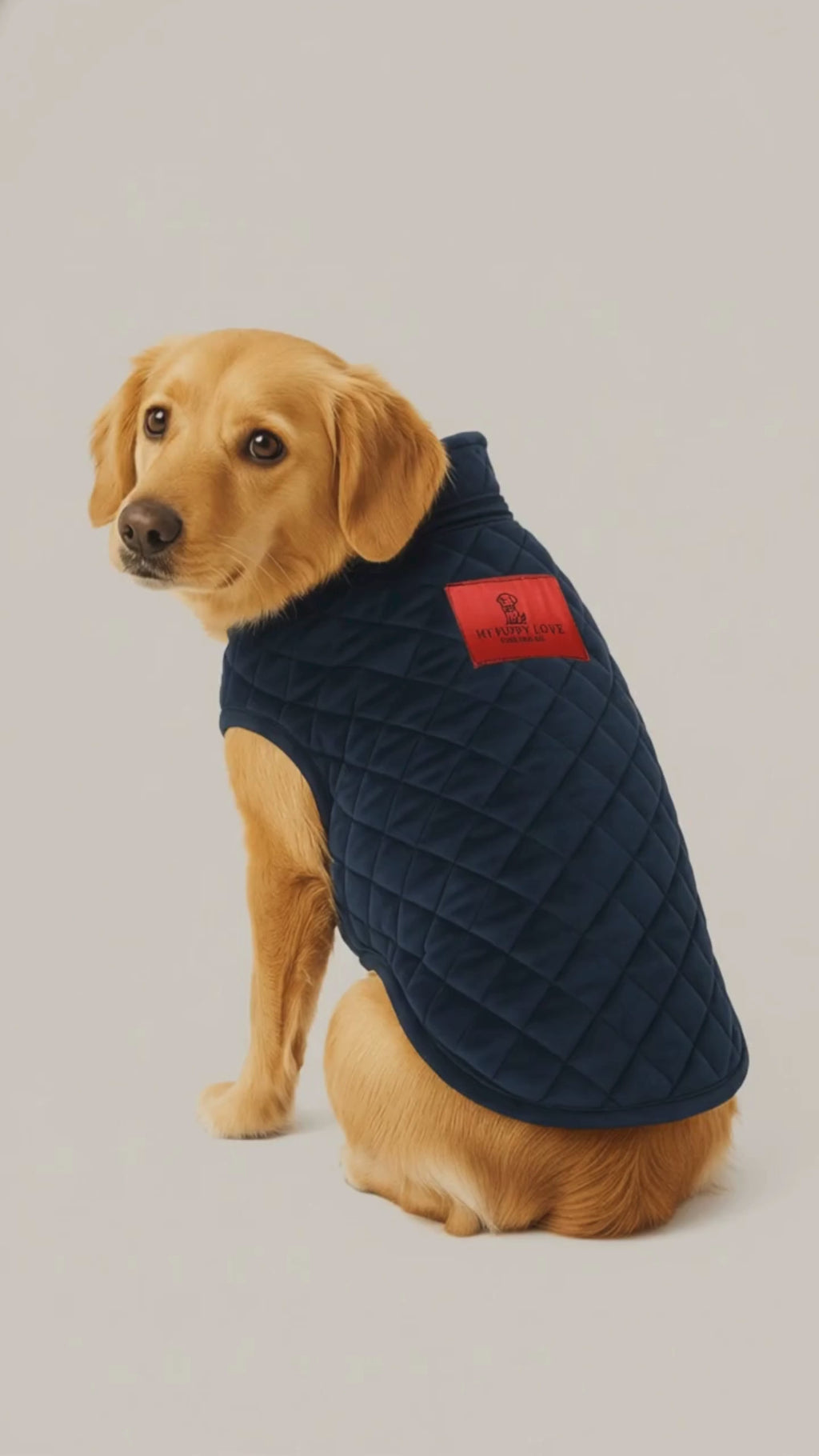 Blue Velvet Heritage Jacket