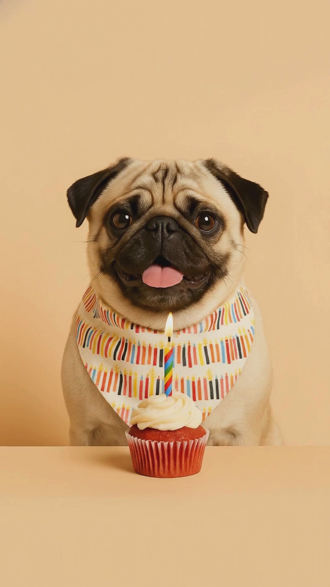 Candle Tails Bandana