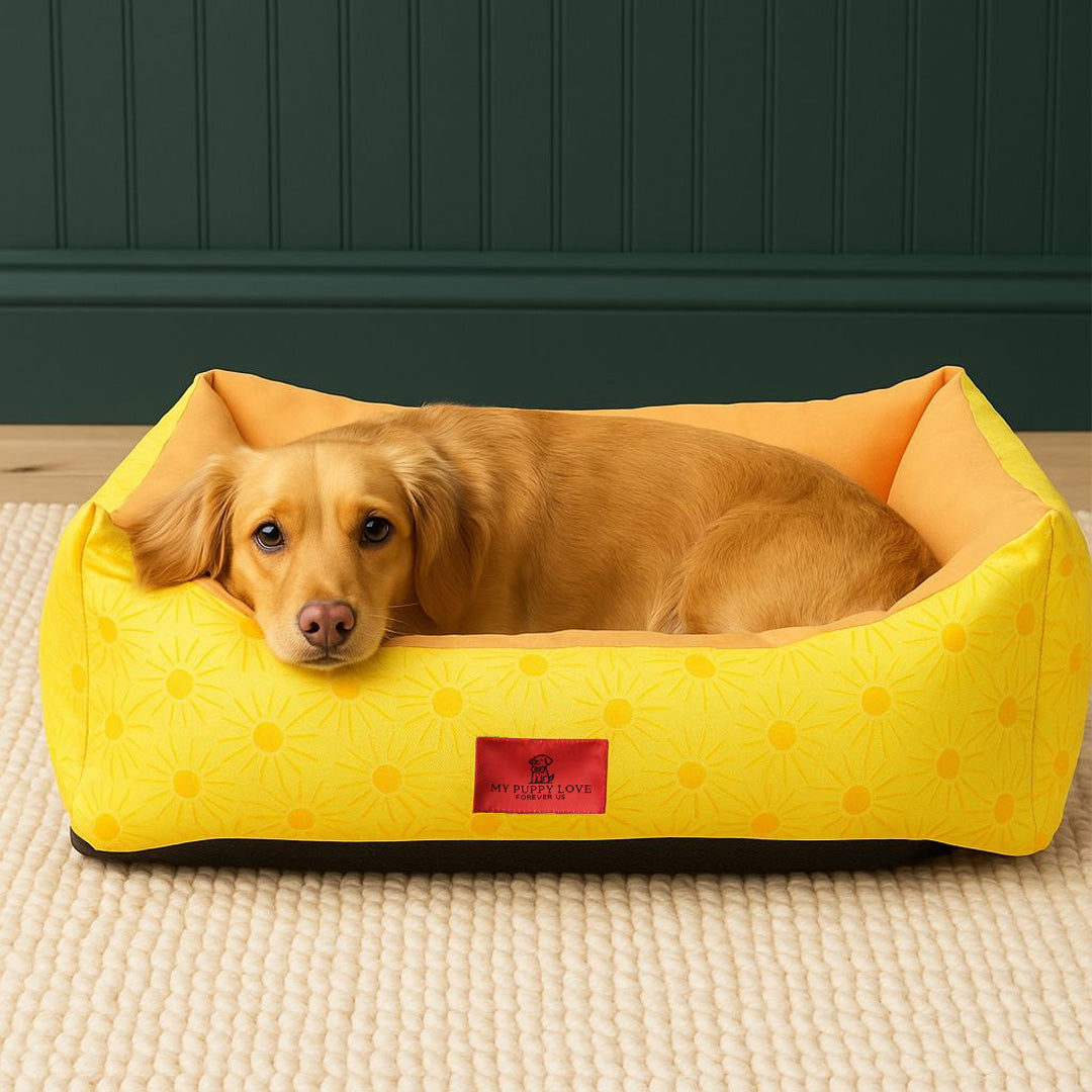 Sunny Side Up Lounger Bed