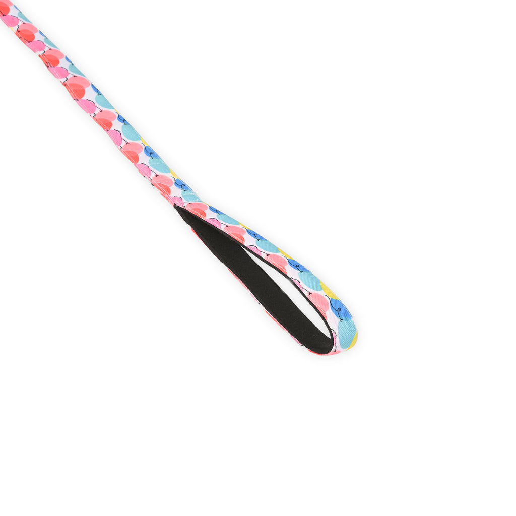 Pup Pup & Away Party Leash