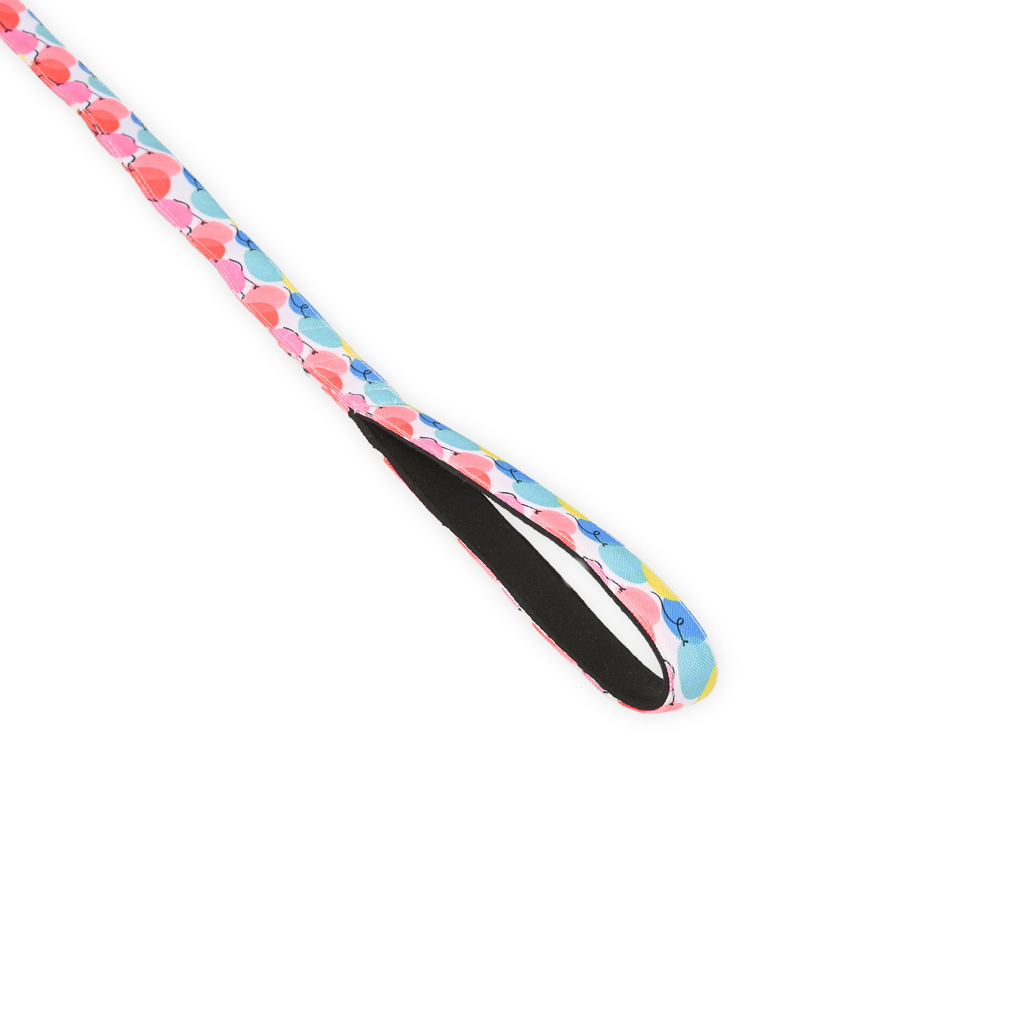 Pup Pup & Away Party Leash