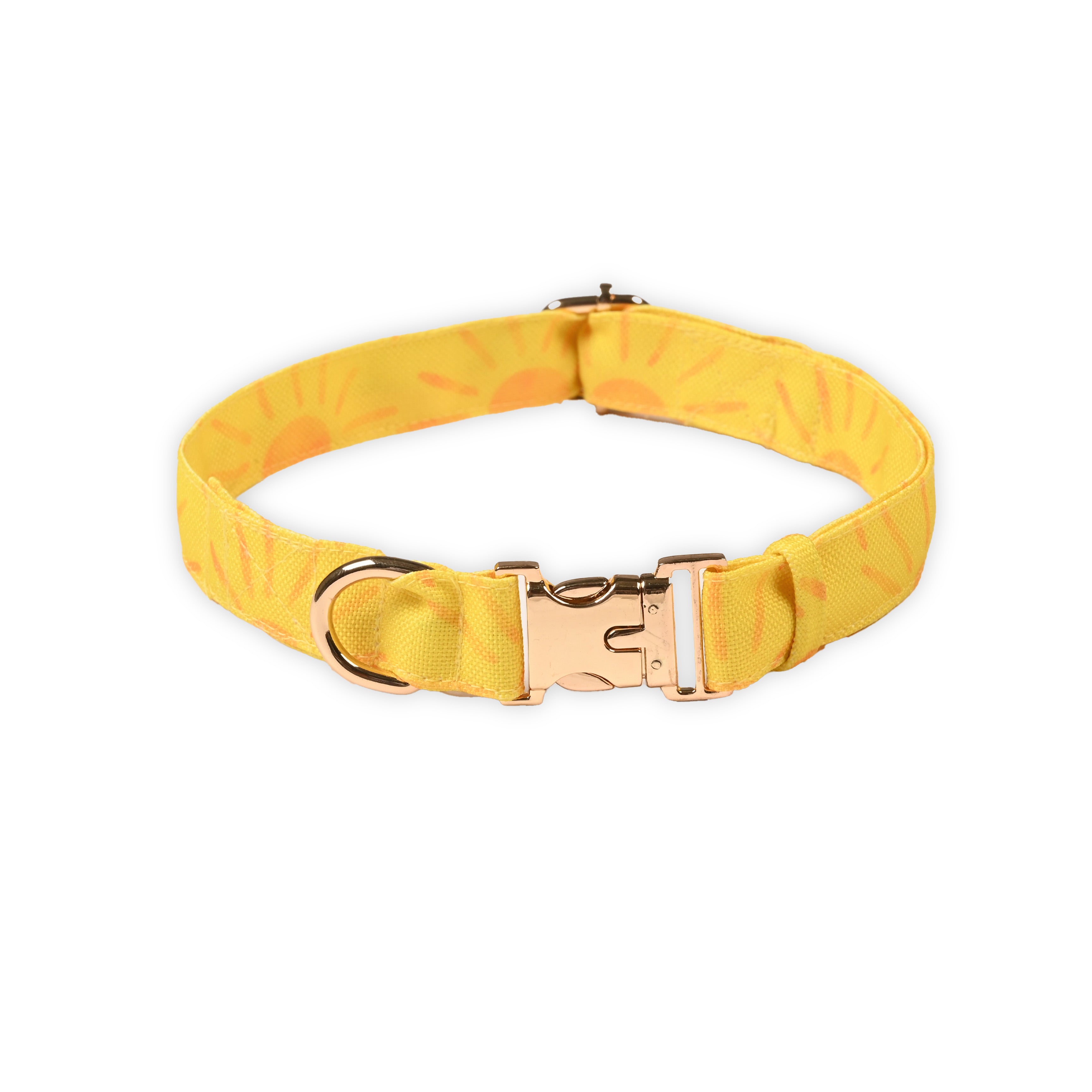 Sunny Side Up Collar