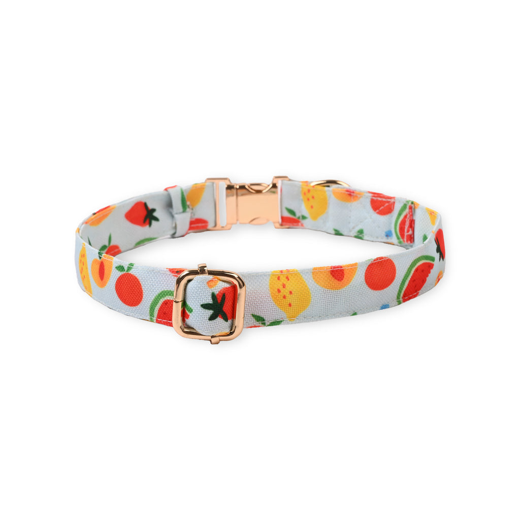 Fruit Salad Collar