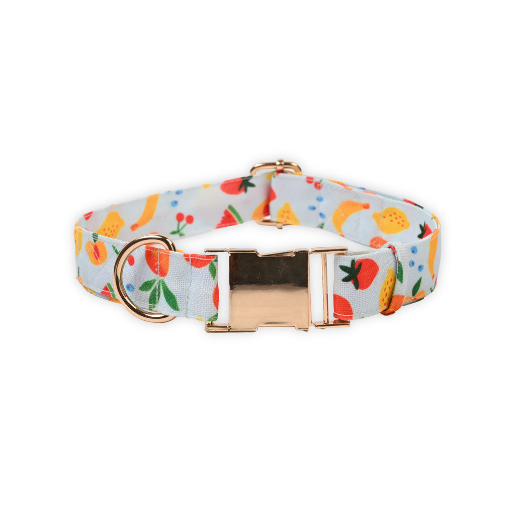 Fruit Salad Collar