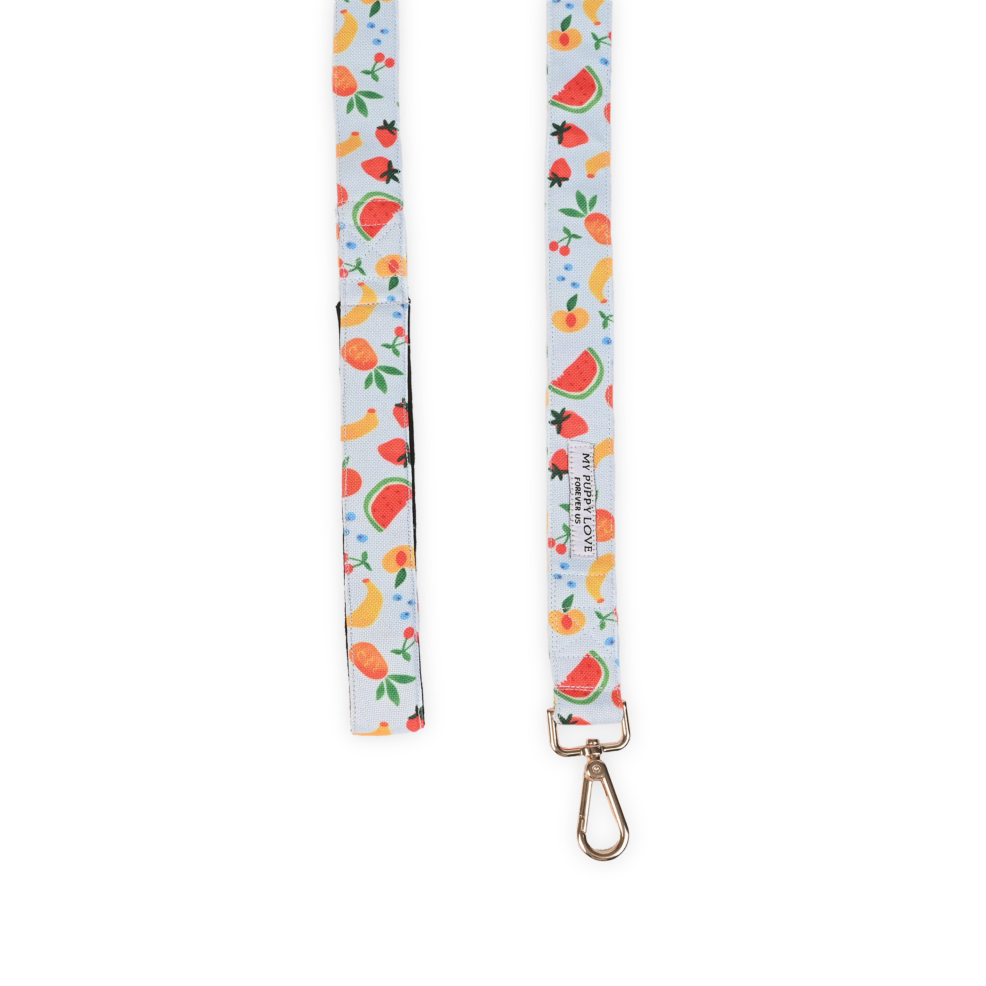 Fruit Salad Leash
