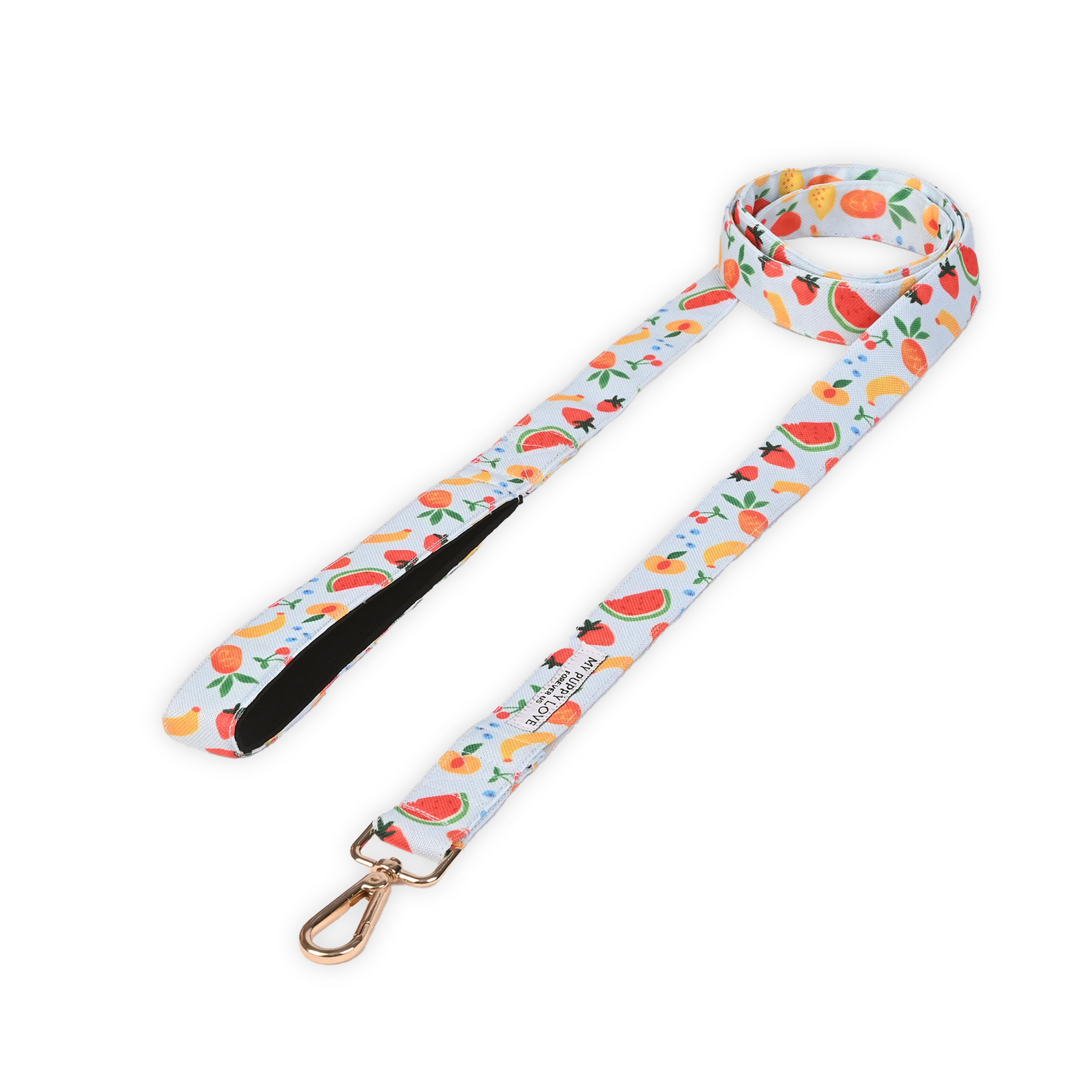 Fruit Salad Leash