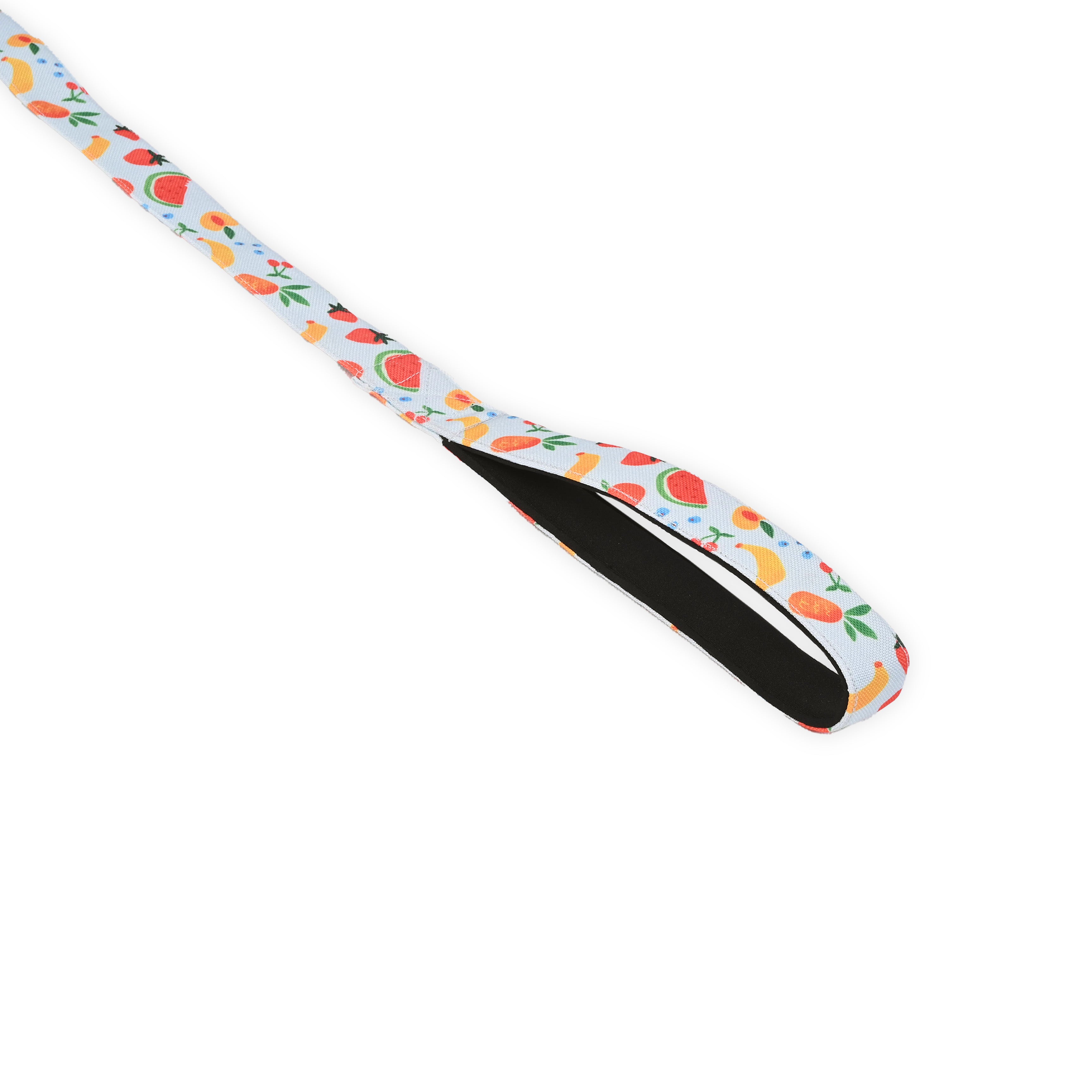 Fruit Salad Leash