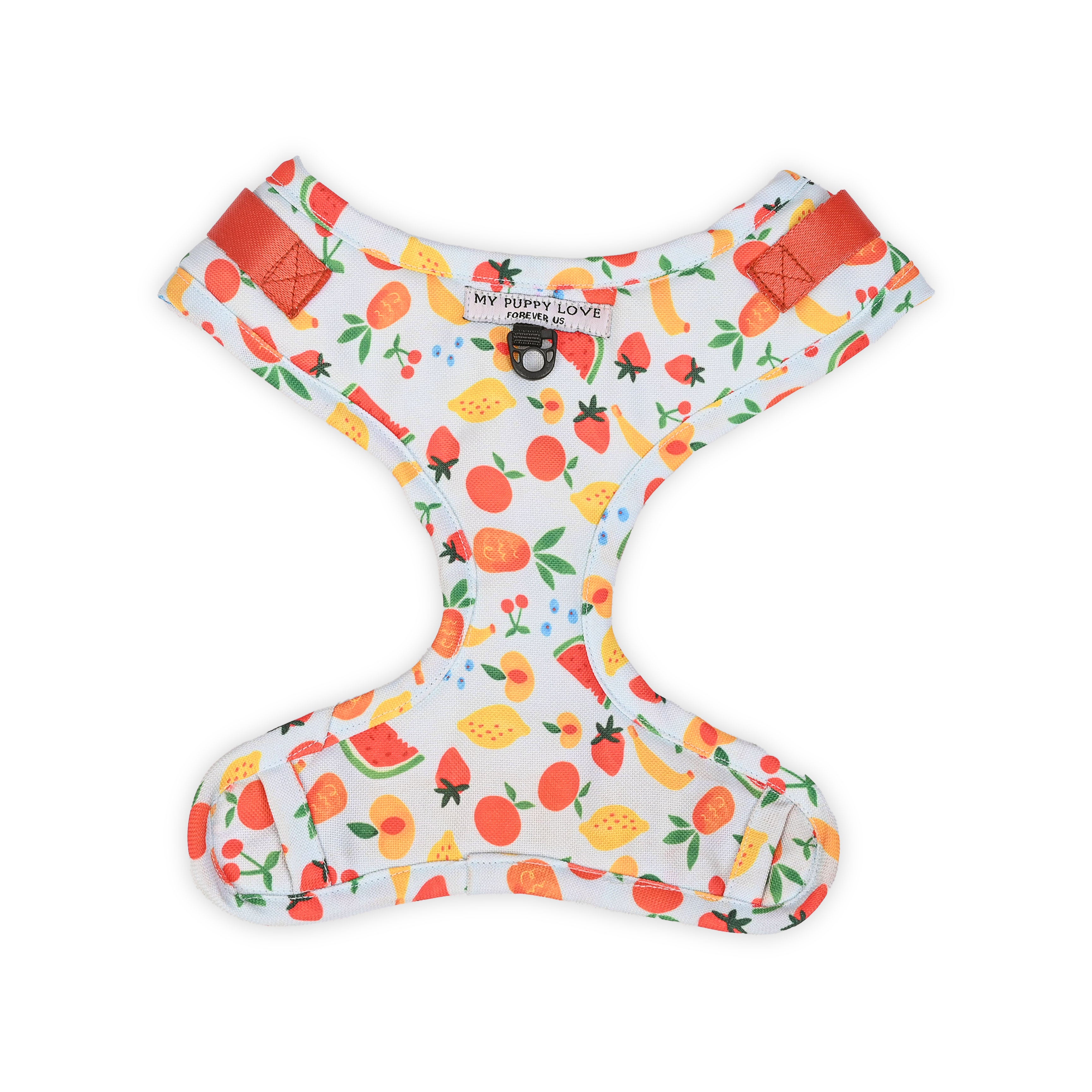 Fruit Salad Harness