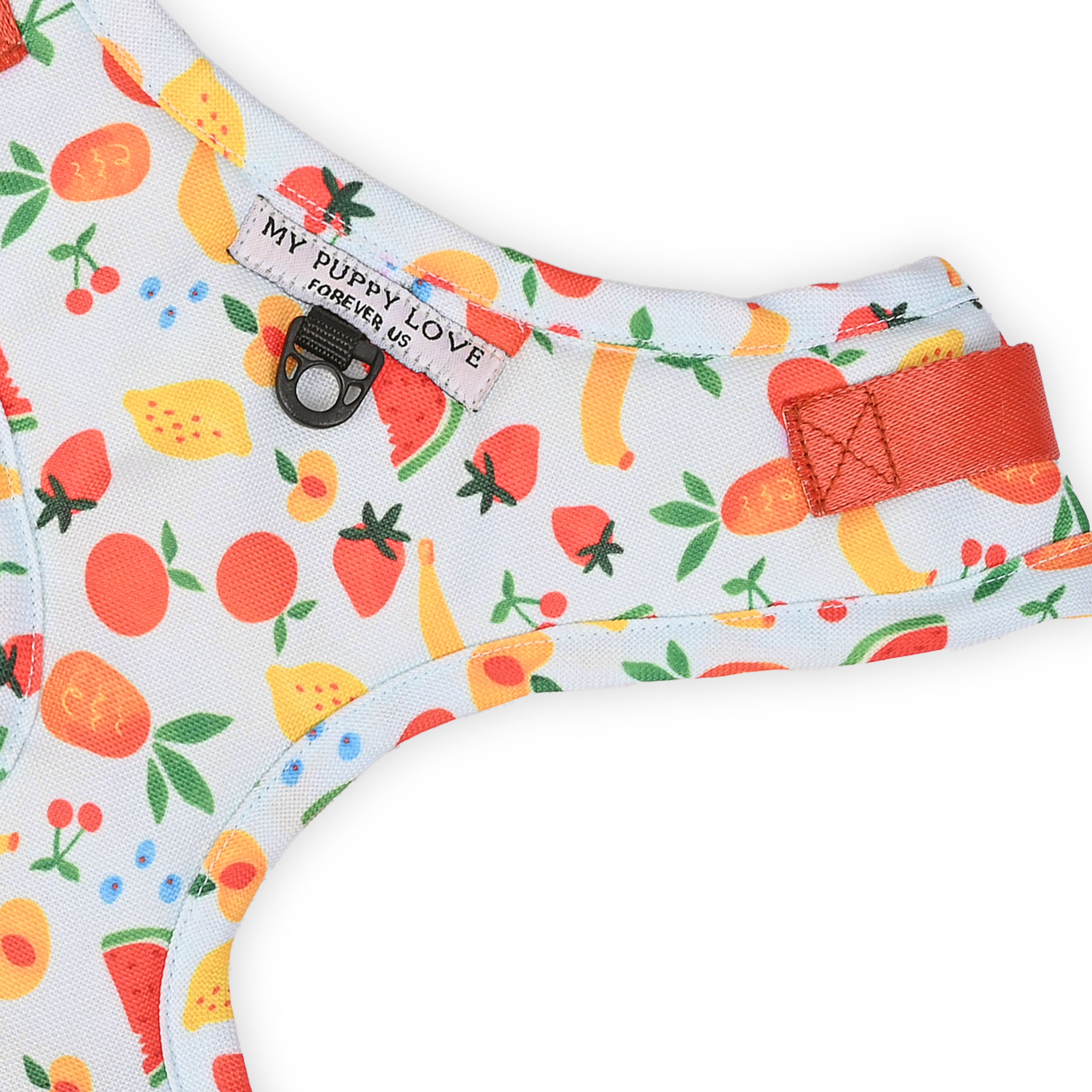 Fruit Salad Harness